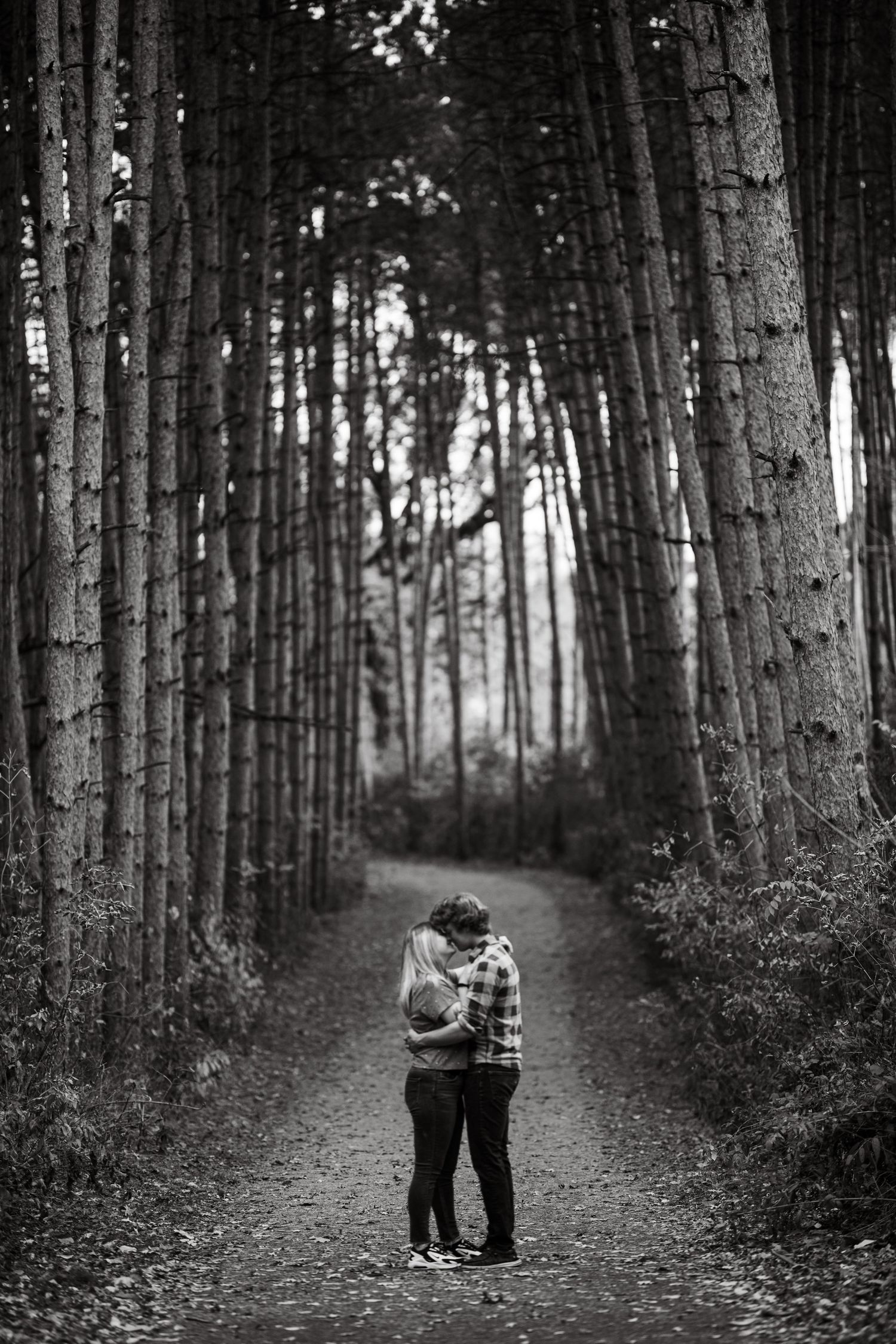 fall engagement photos minneapolis