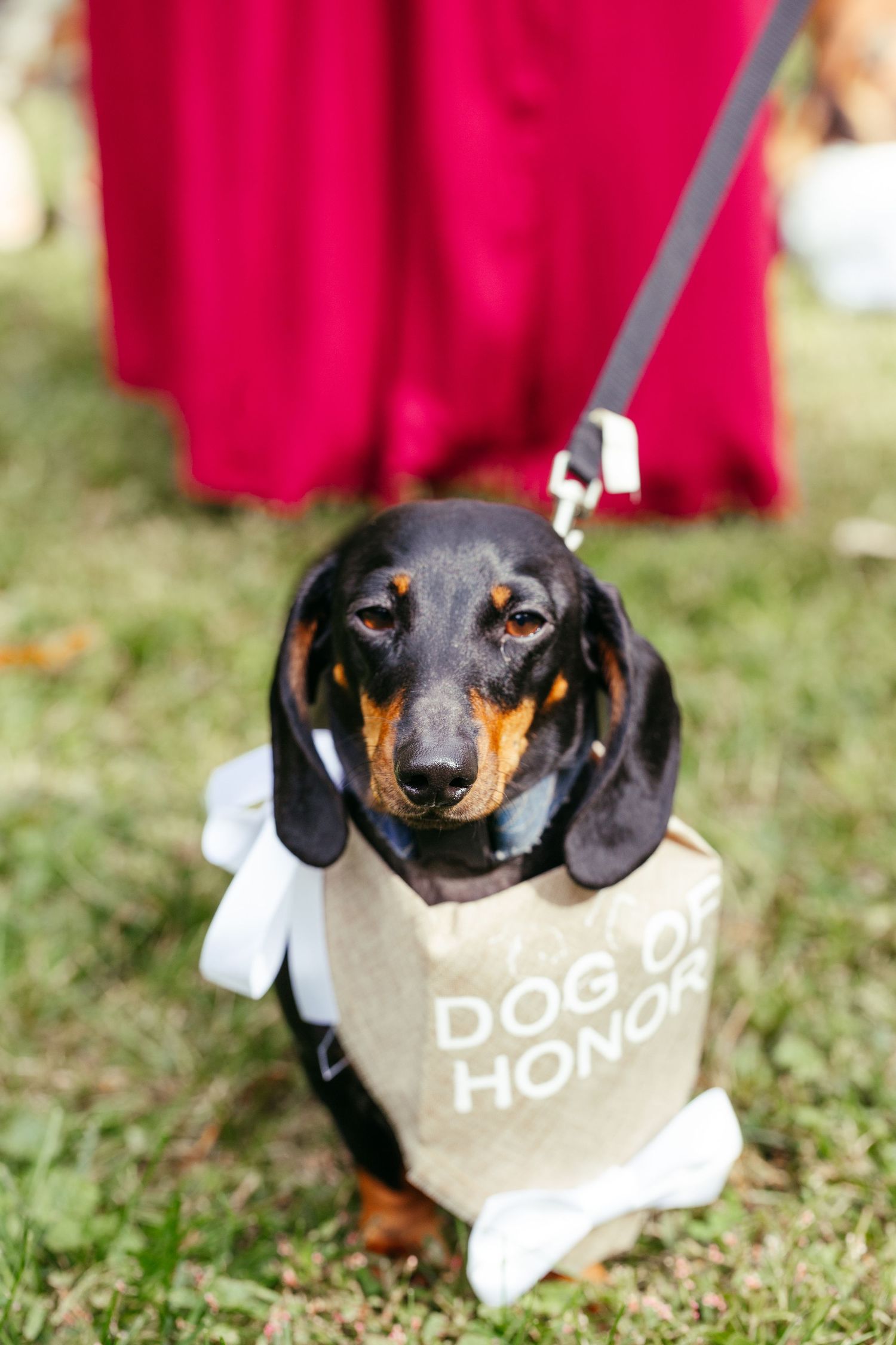 minnesota wedding photos