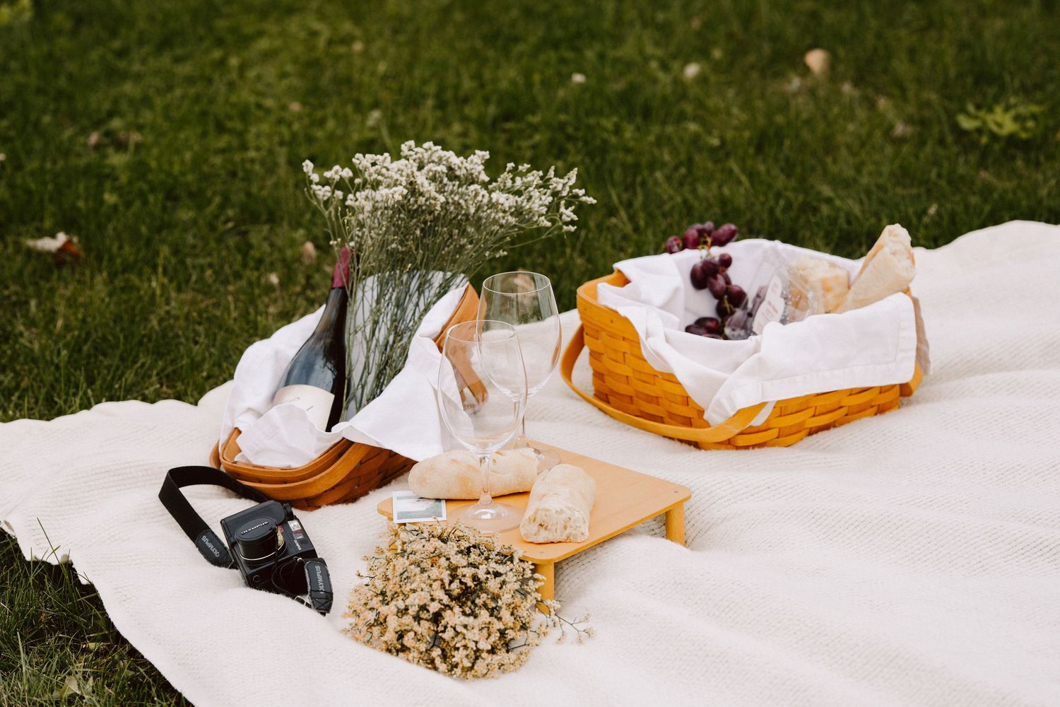 fall picnic engagement pictures