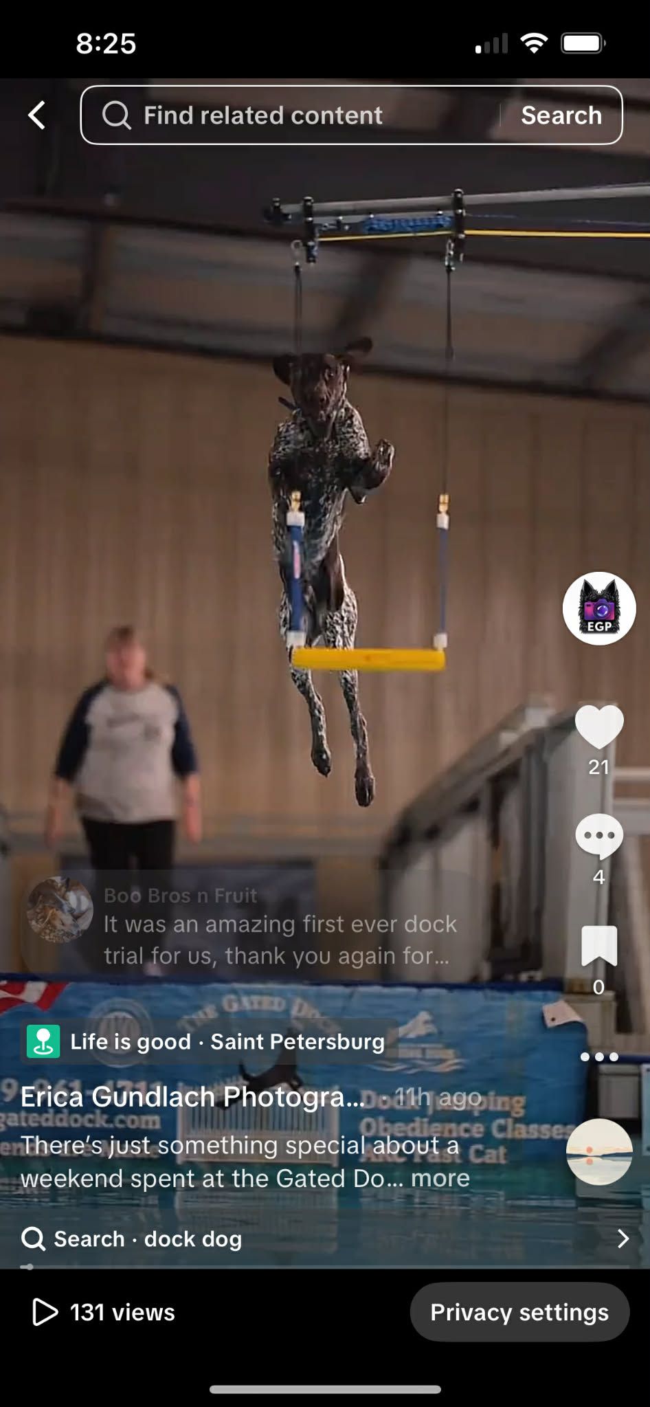 Dog Sport Social Media Highlight Reel by Erica Gundlach Photography