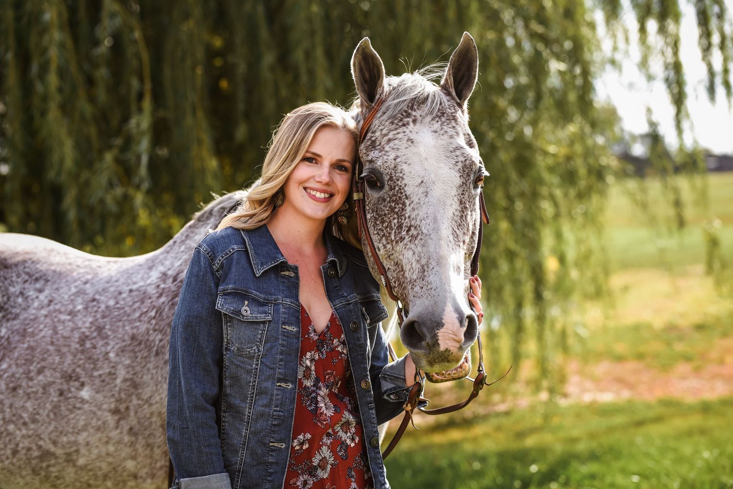 Equine photography sessions in Ohio