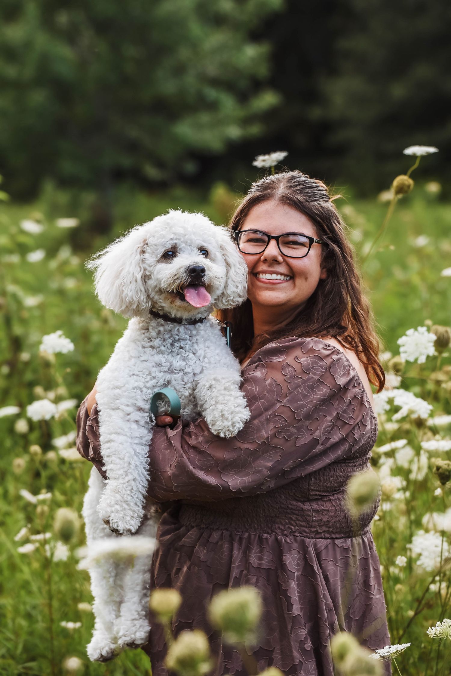 Dog portrait sessions near Cleveland, Ohio