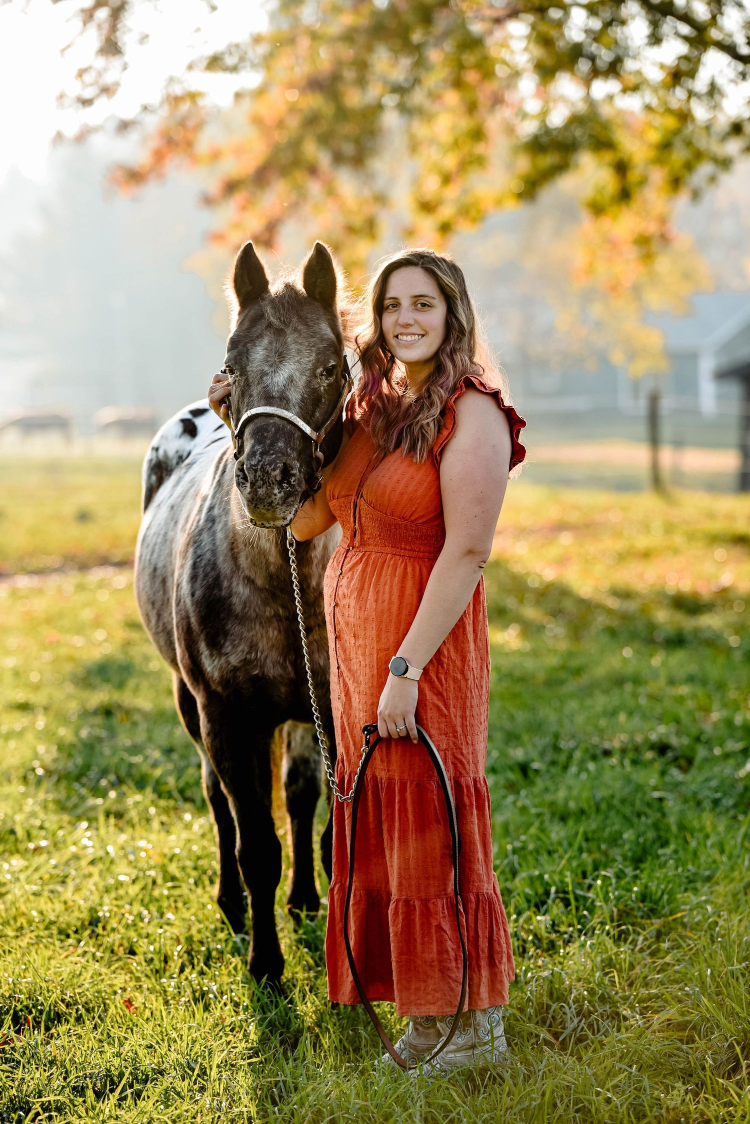 Horse photographer near Cleveland, Ohio