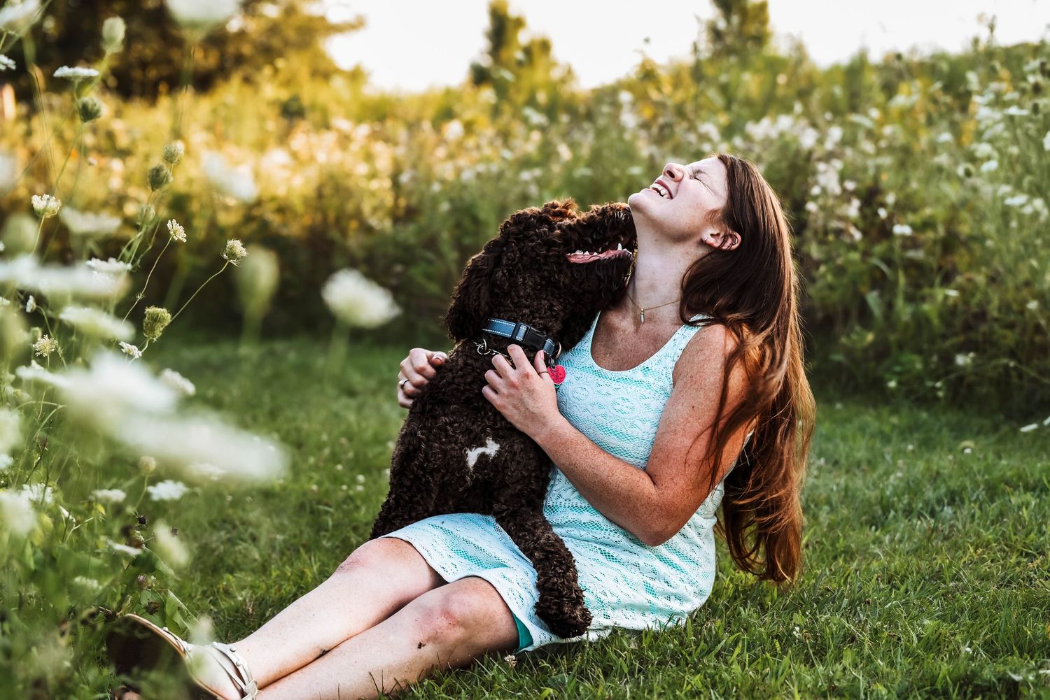 Dog photography near Cleveland, Ohio