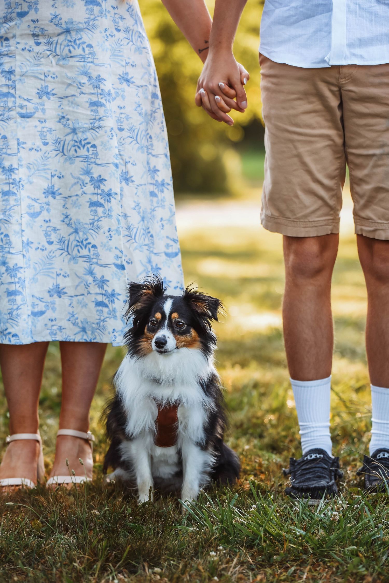 Pet photography in Ohio