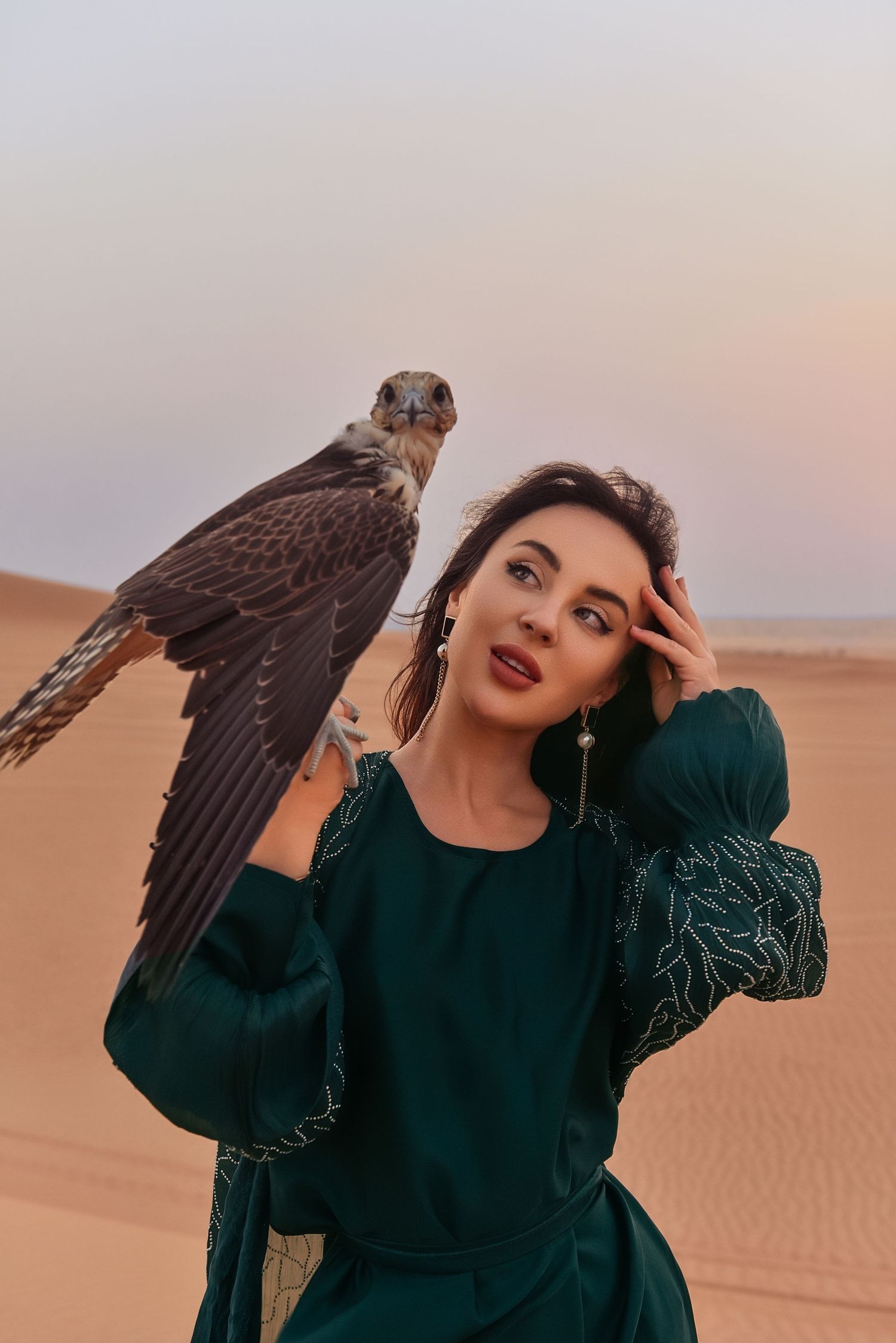 A falcon perches on someone's arm against a desert sunset backdrop wearing a dark green sweater.