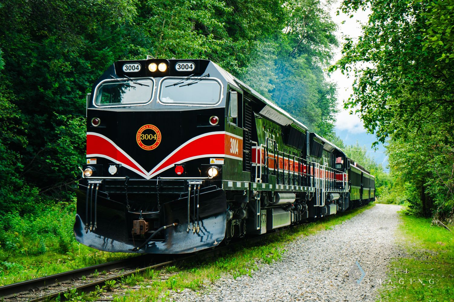 A vintage red and black passenger train travels through a lush green forest on a scenic railway line.
