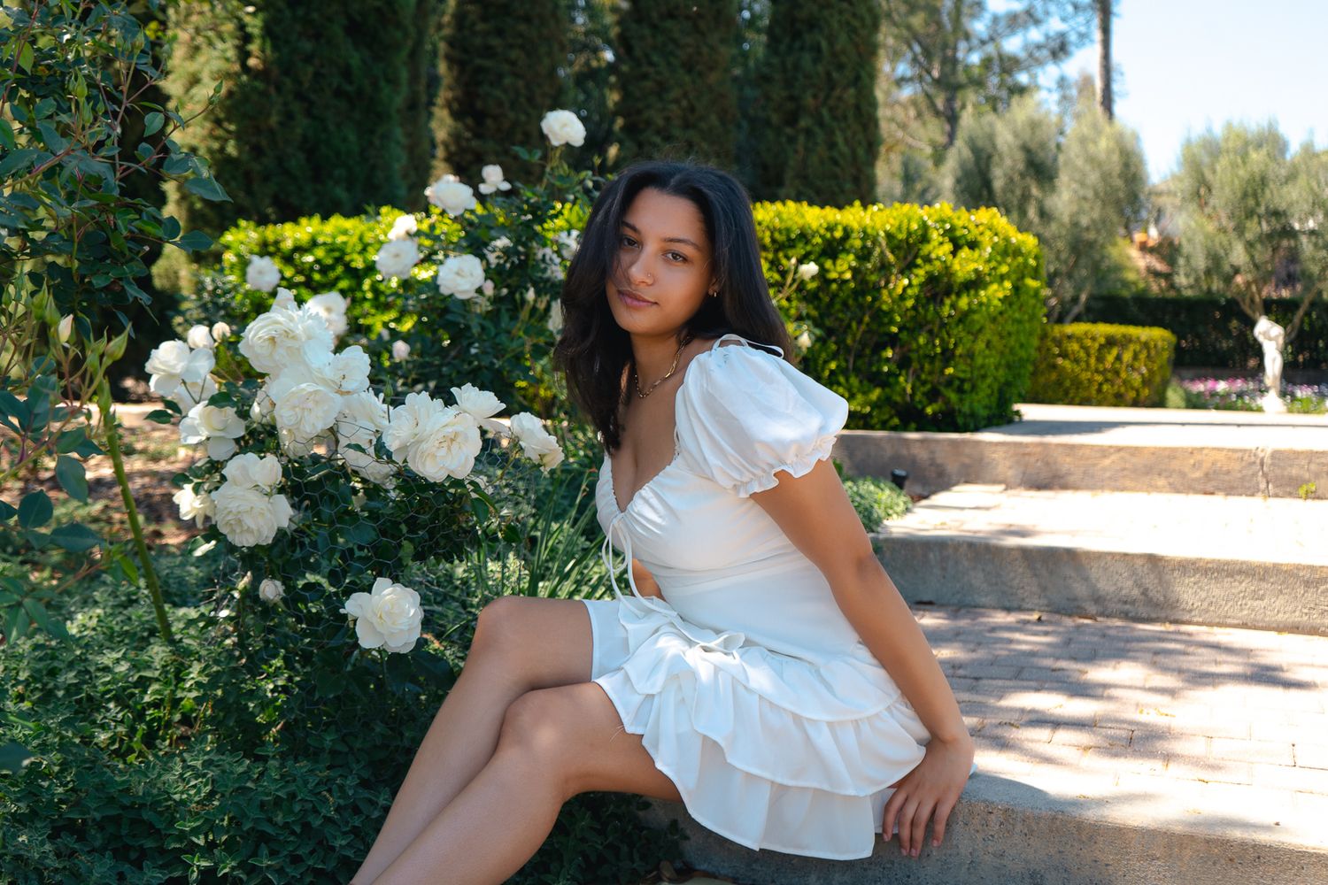 White floral garden scene with roses and landscaped hedges in bright sunlight.