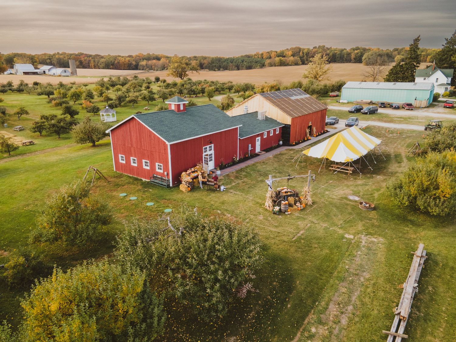 drone photo of orchard and corn maze