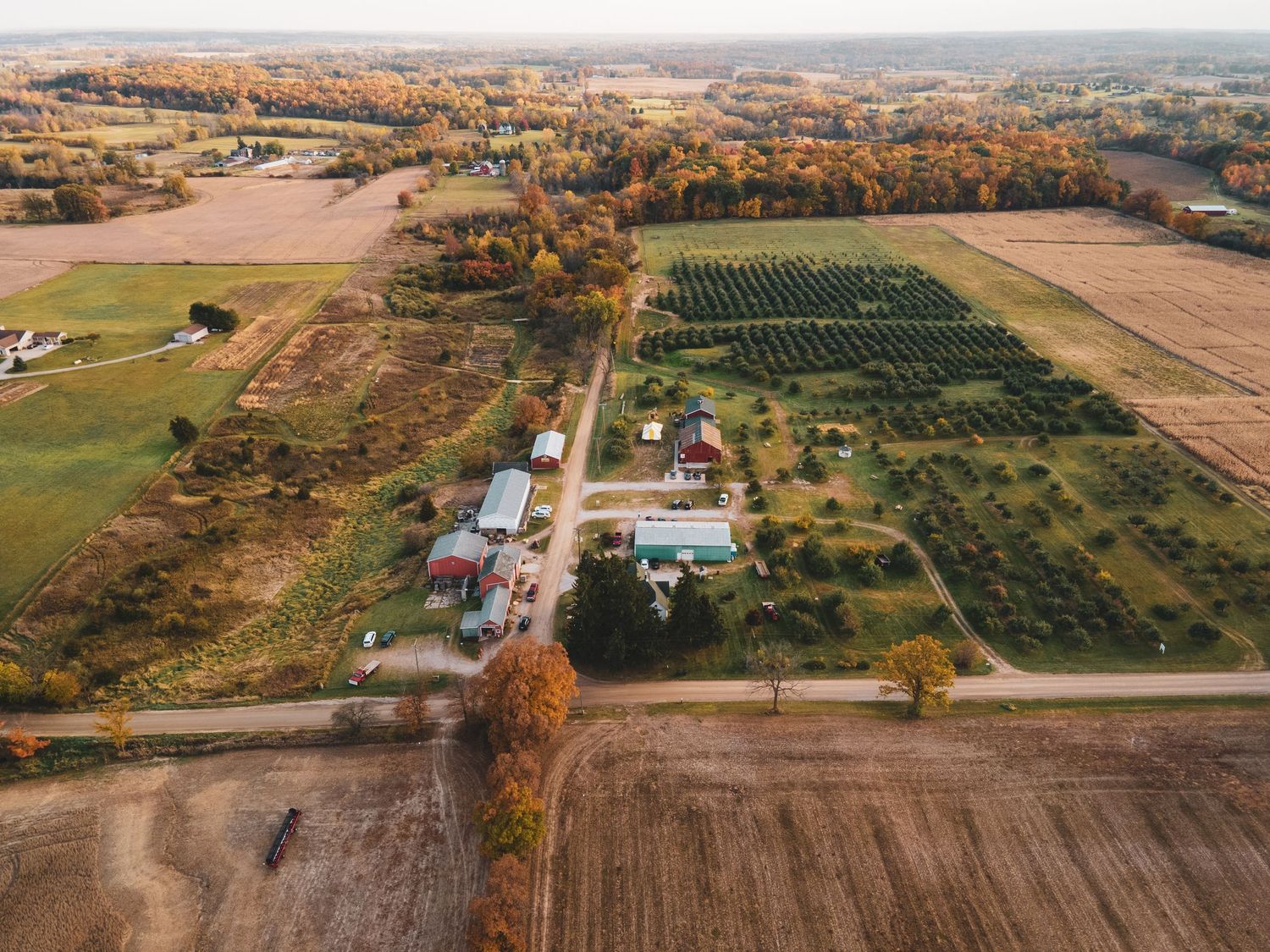 drone photo of orchard and corn maze