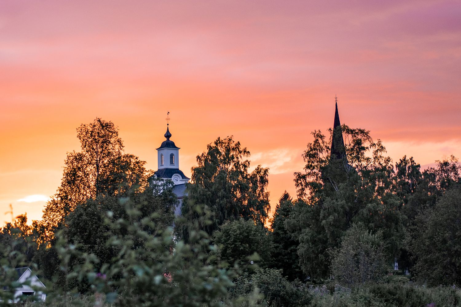 Naturfotografi, Naturfotograf, Prints, Ånge, Bildbank, Företagsfotografering