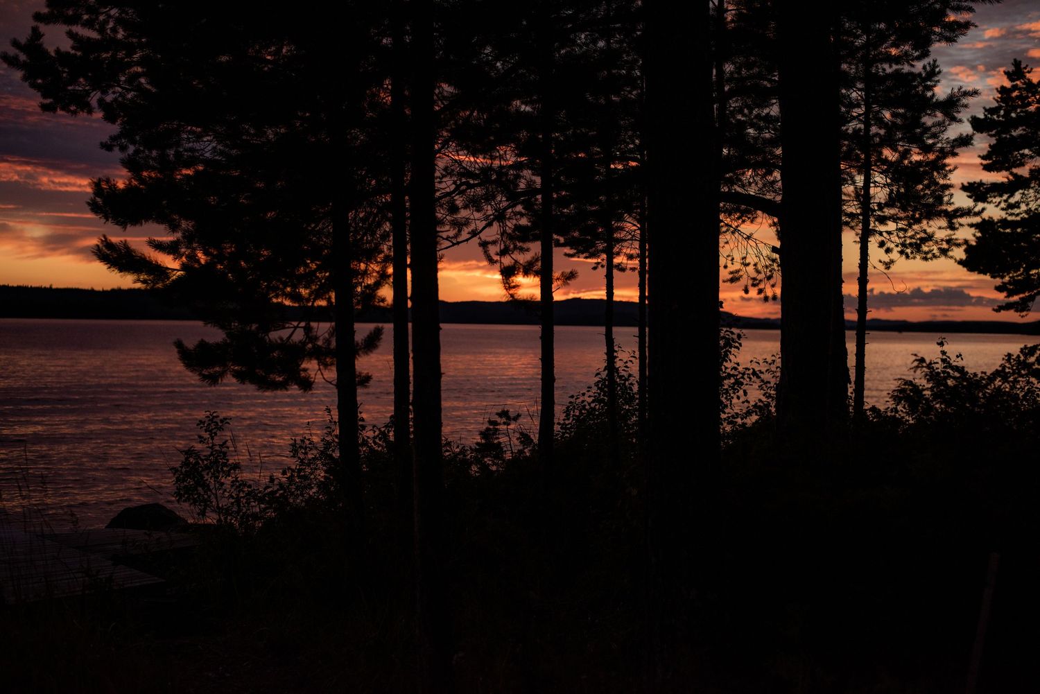 Naturfotografi, Naturfotograf, Prints, Ånge, Bildbank, Företagsfotografering
