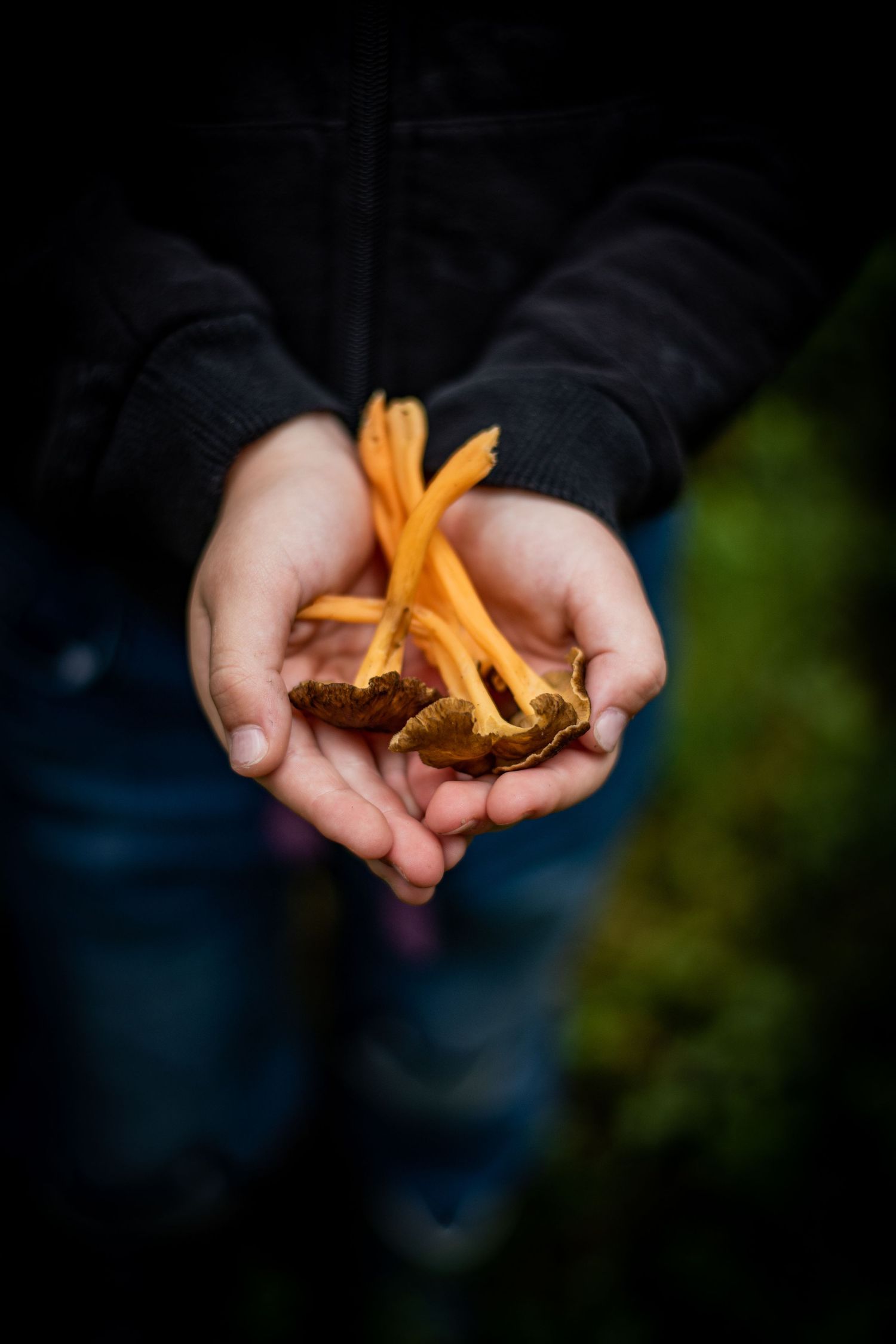 Naturfotografi, Naturfotograf, Prints, Ånge