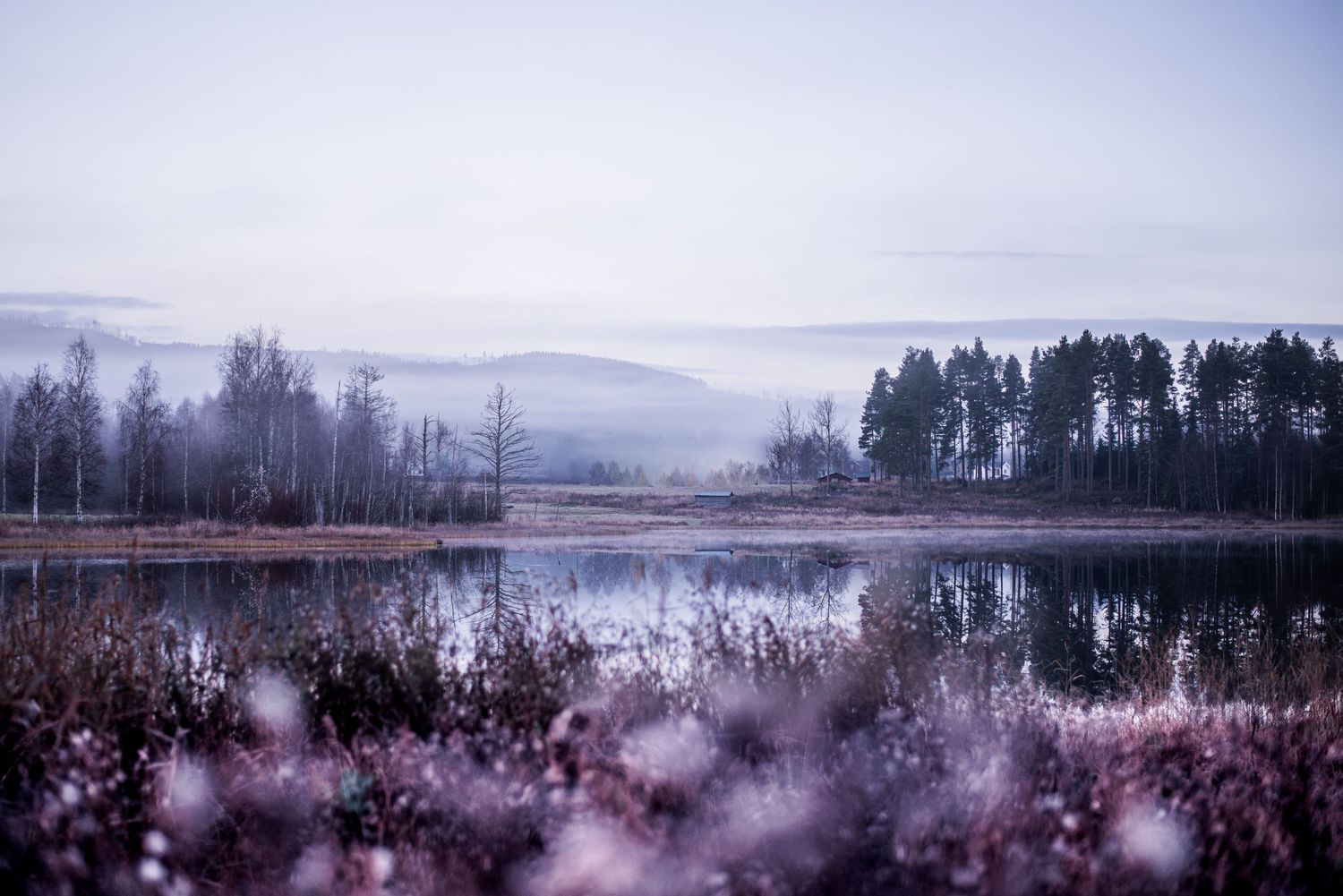 Naturfotografi, Naturfotograf, Prints, Parteboda, Bildbank, Företagsfotografering