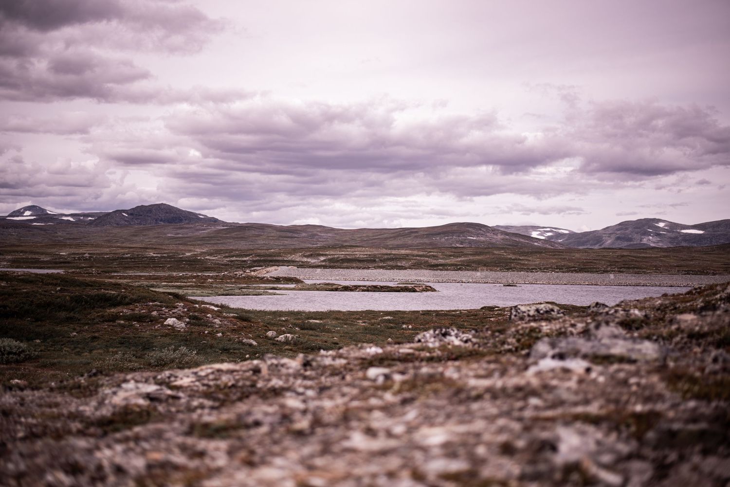 Naturfotografi, Naturfotograf, Prints, Ånge