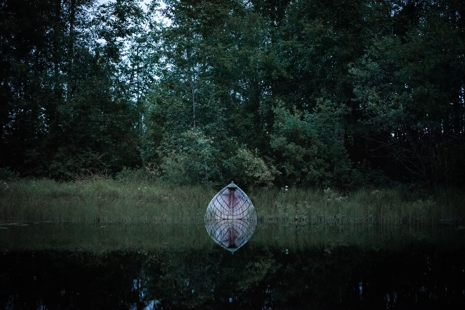 Naturfotografi, Naturfotograf, Prints, Ånge