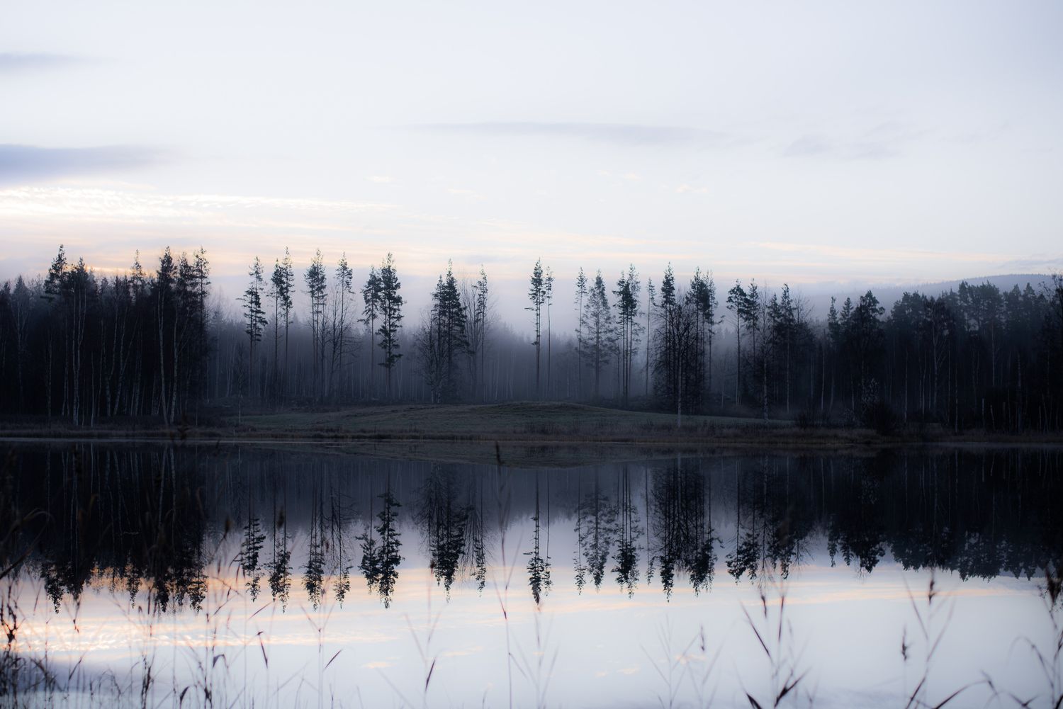 Naturfotografi, Naturfotograf, Prints, Östersund, Bildbank, Företagsfotografering