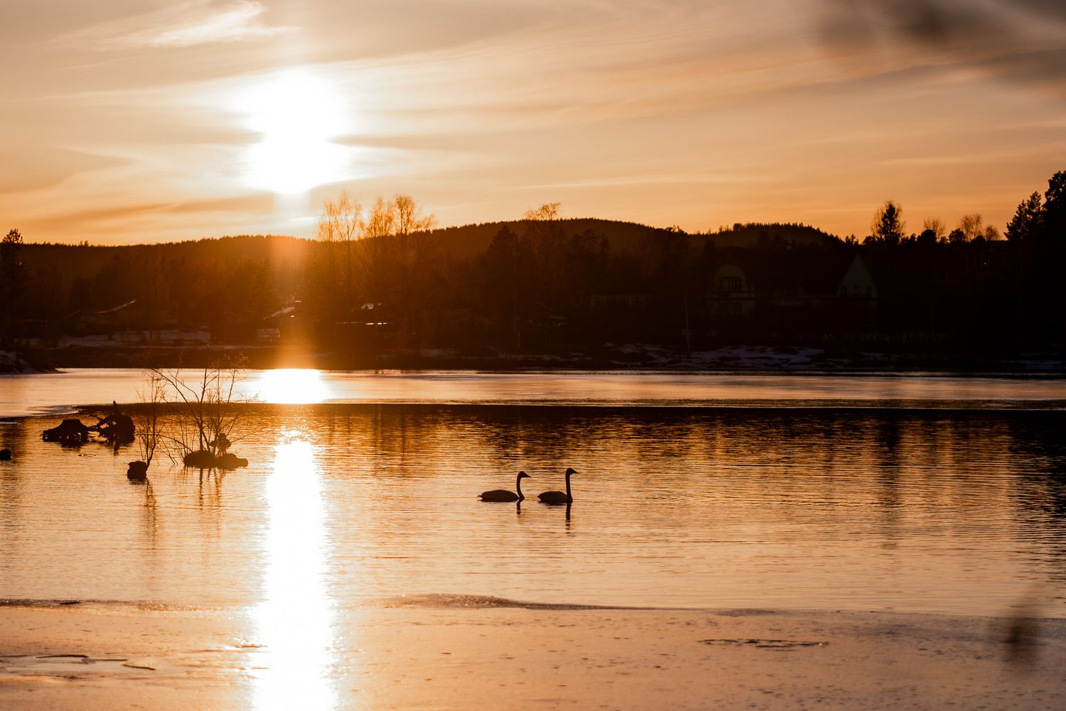 Naturfotografi, Naturfotograf, Prints, Bräcke, Bildbank, Företagsfotografering