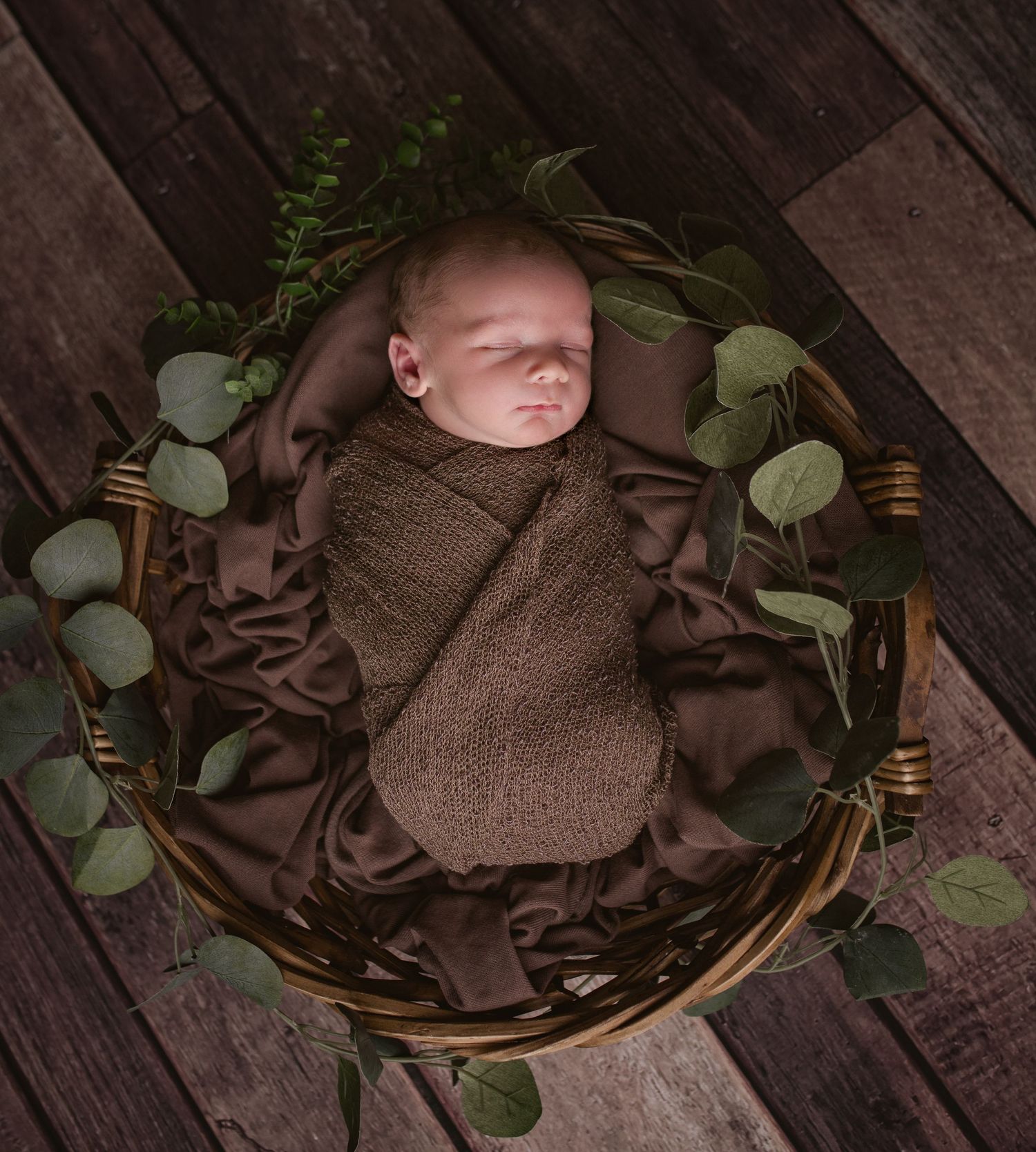 Sleeping newborn wrapped in brown swaddle surrounded by eucalyptus leaves in woven basket.