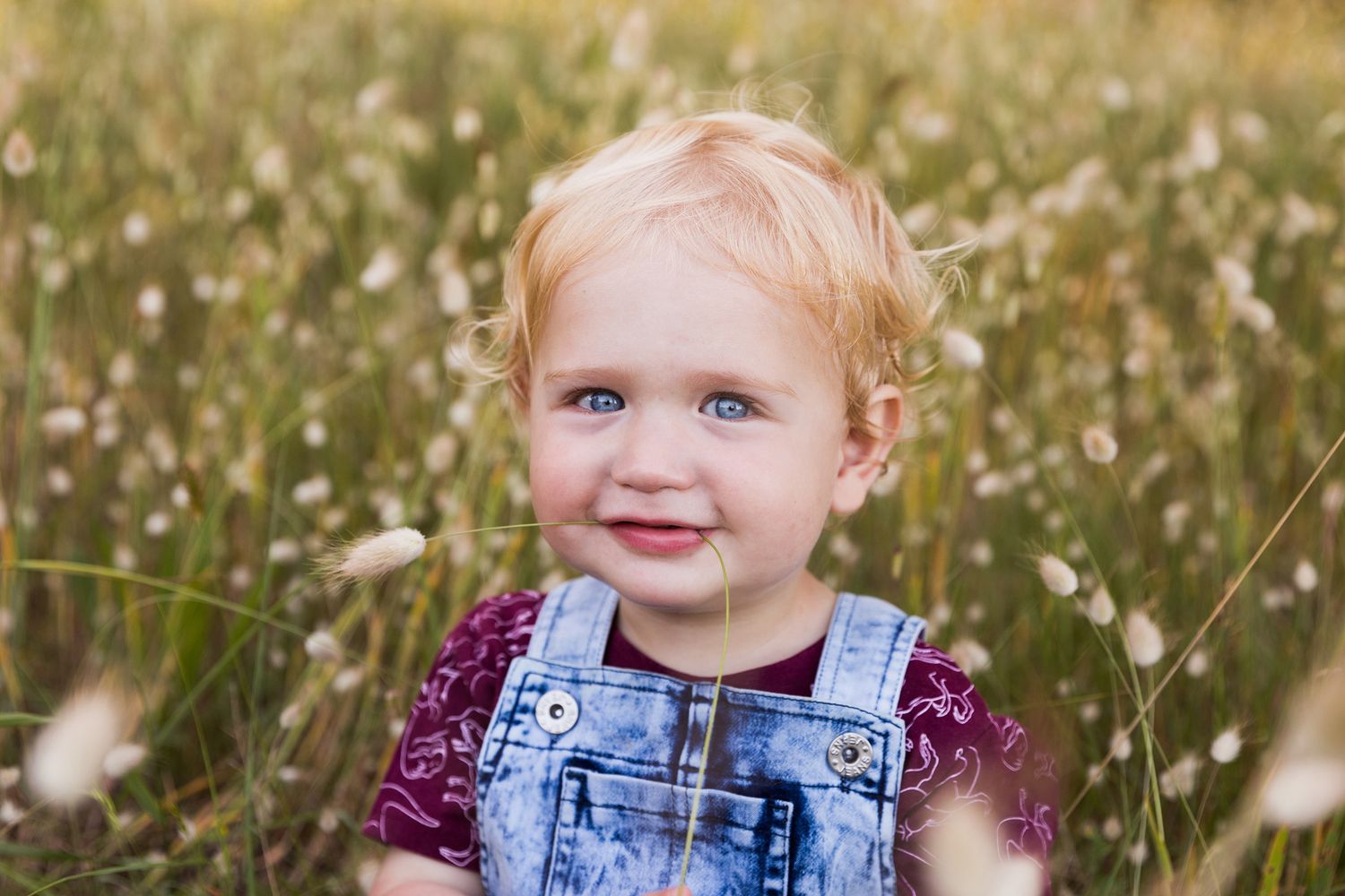 A sequence of photos showing close-up portraits of a child with blue eyes wearing overalls in a sunny wildflower field.