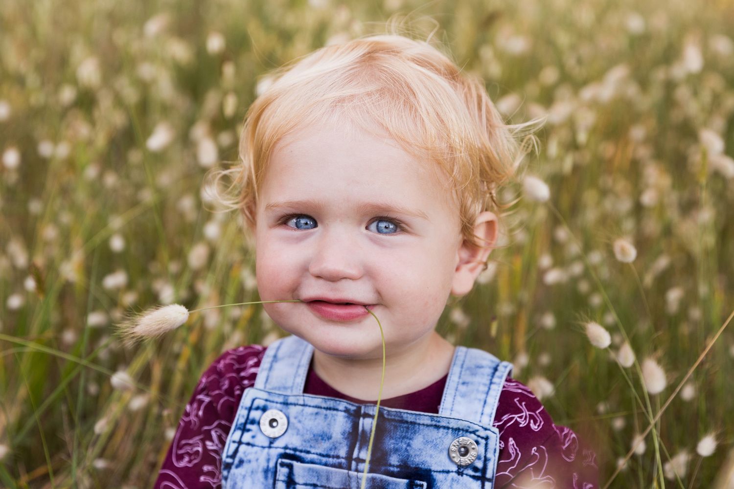 A small child with blonde hair wearing denim overalls and a purple shirt smiles while sitting in a field of wildflowers.