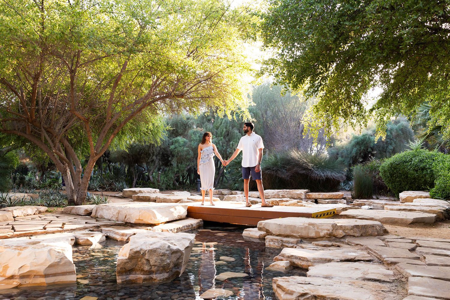Stone stairs wind through a lush Arizona garden path in the late afternoon sunlight.