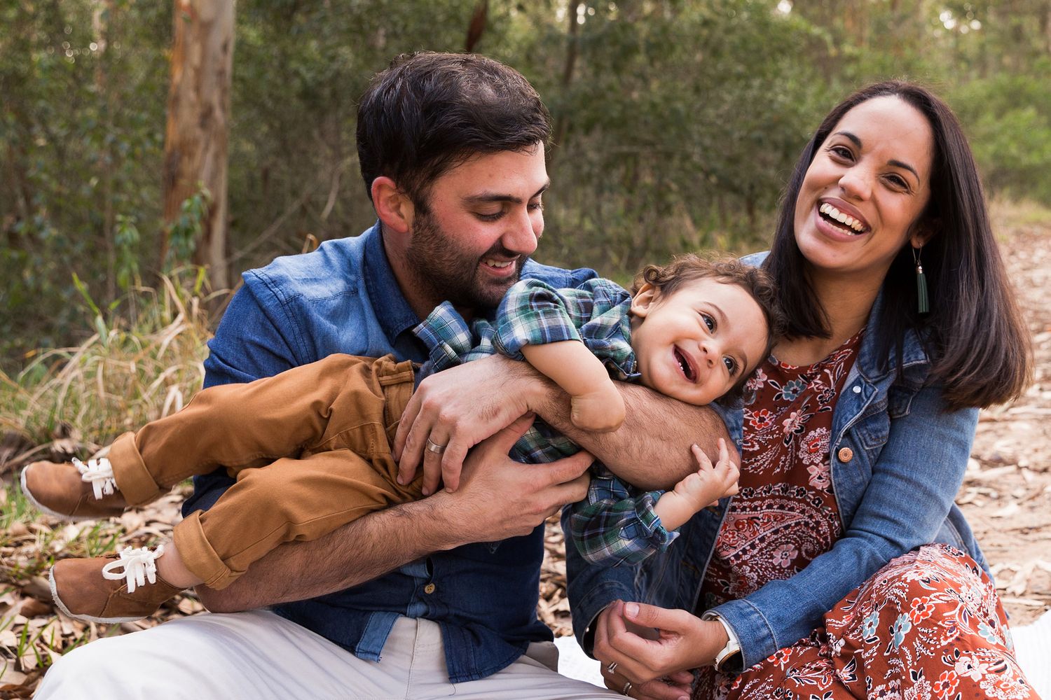 A group of images showing playful family moments outdoors with laughter, dogs, and natural forest scenery.