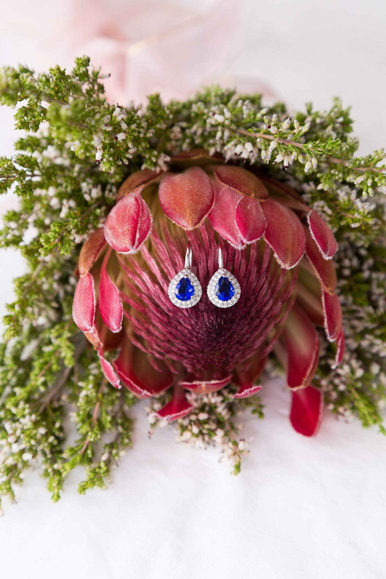 Elegant sapphire drop earrings displayed on a pink protea flower with green foliage.