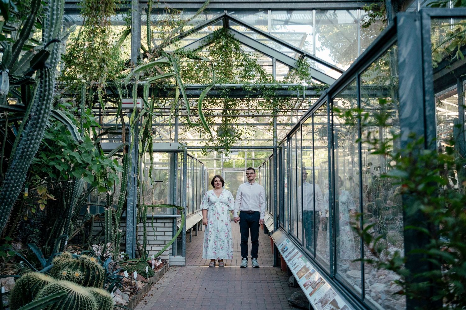 Interior of large greenhouse with glass ceiling and tropical plants.