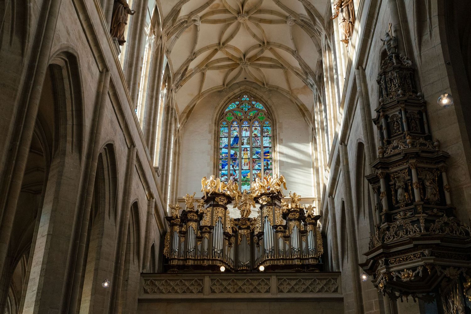 Gothic cathedral interior with vaulted ceilings and ornate architectural details.