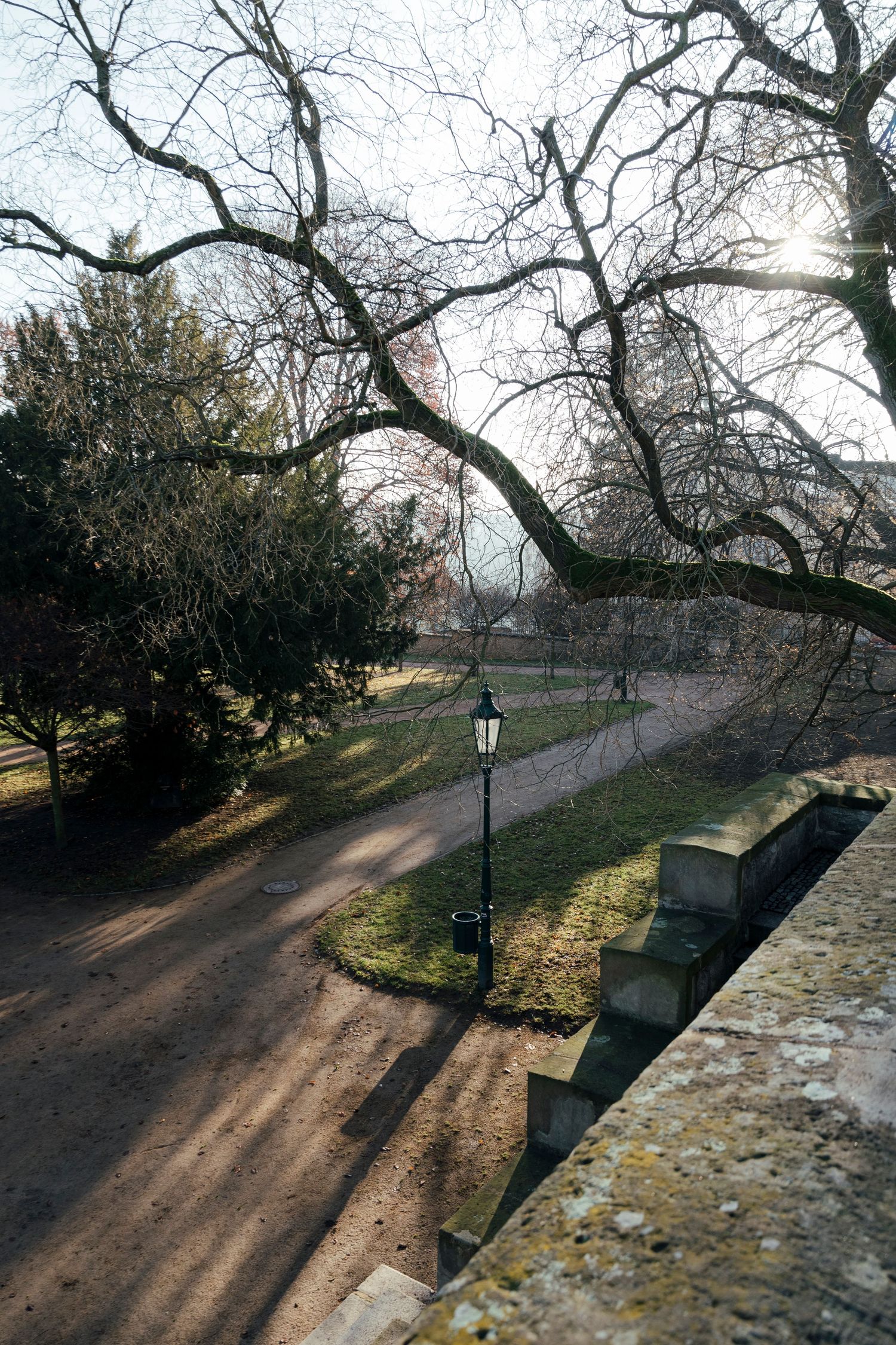 Stone pathway with lamp posts winding through bare winter trees and stone wall on a sunny afternoon.