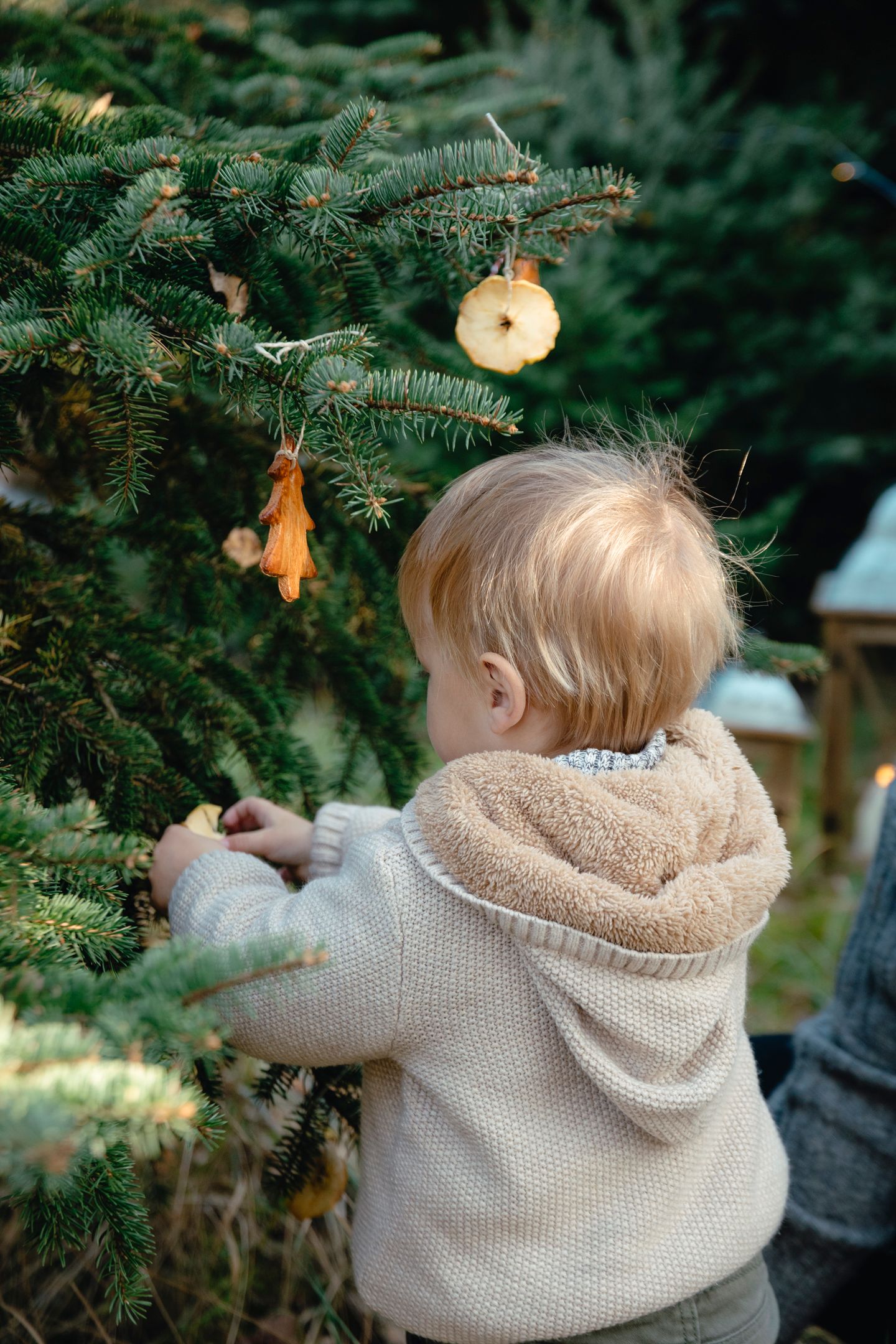 Toddler in beige hoodie sweater touching a decorated outdoor Christmas tree with dried fruit ornaments.