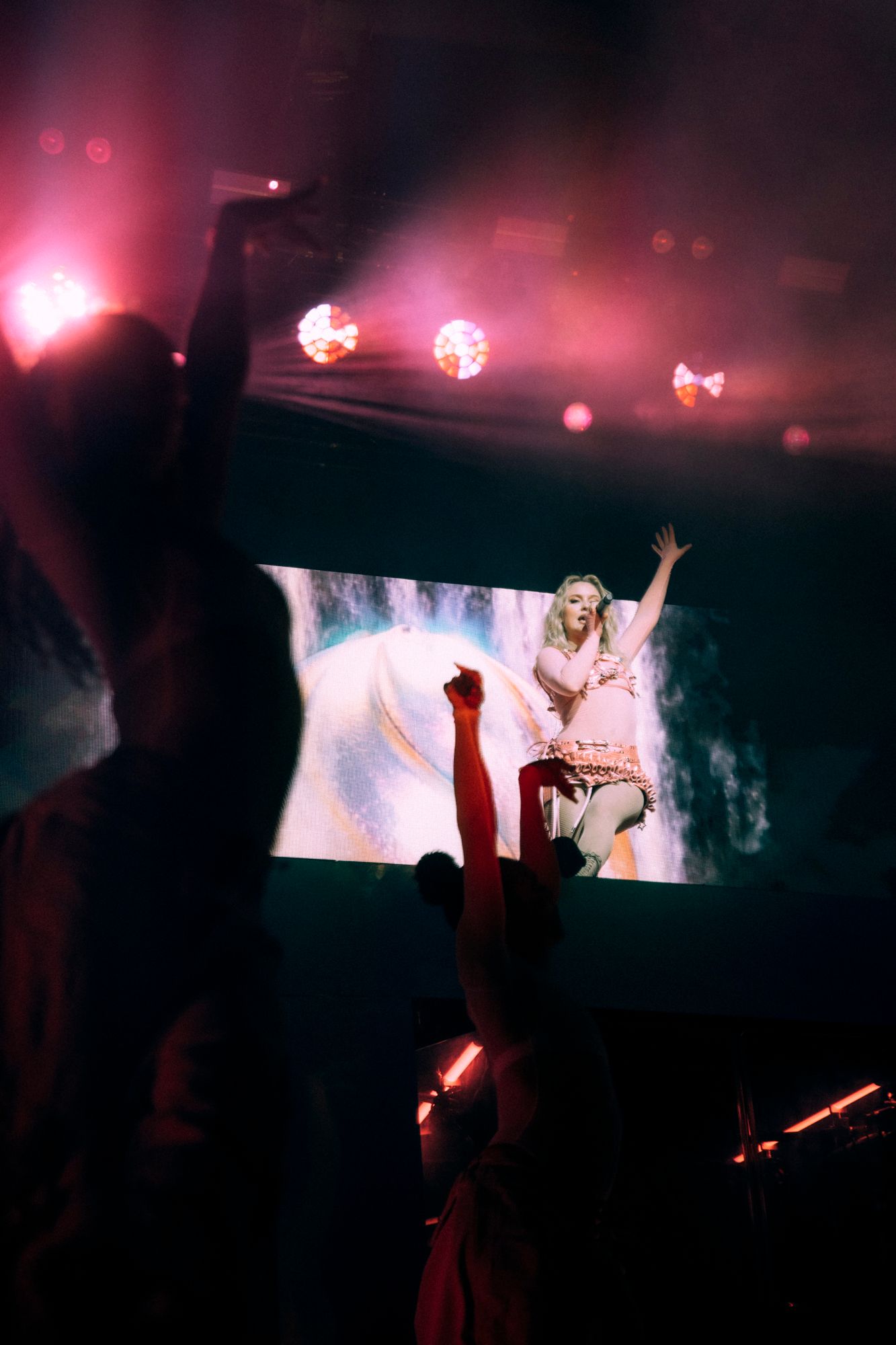 Silhouettes of concert attendees with raised arms against a pink and purple illuminated stage backdrop.