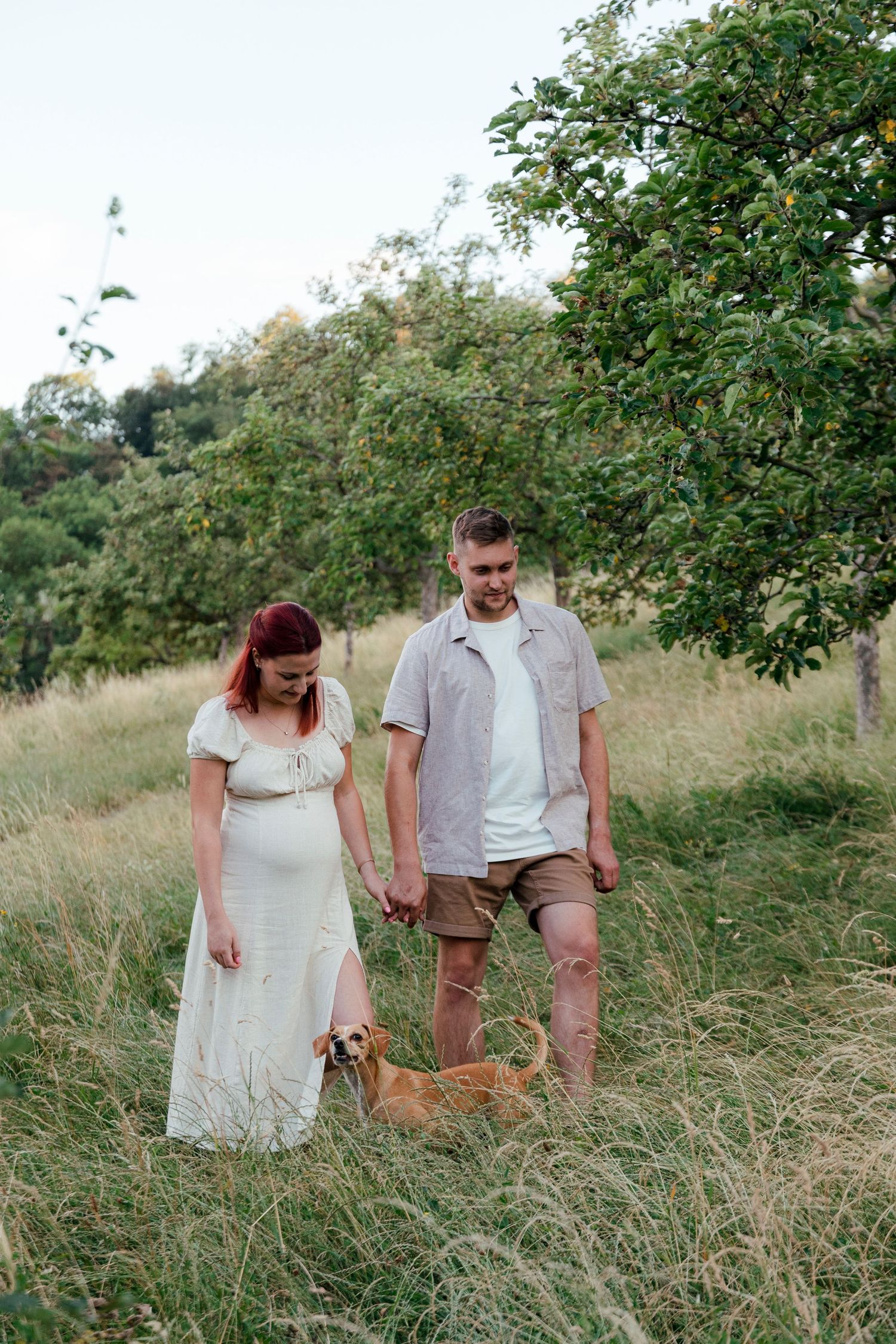 Pregnant woman in white dress and man in casual wear walk hand in hand through a lush green meadow with a dog.