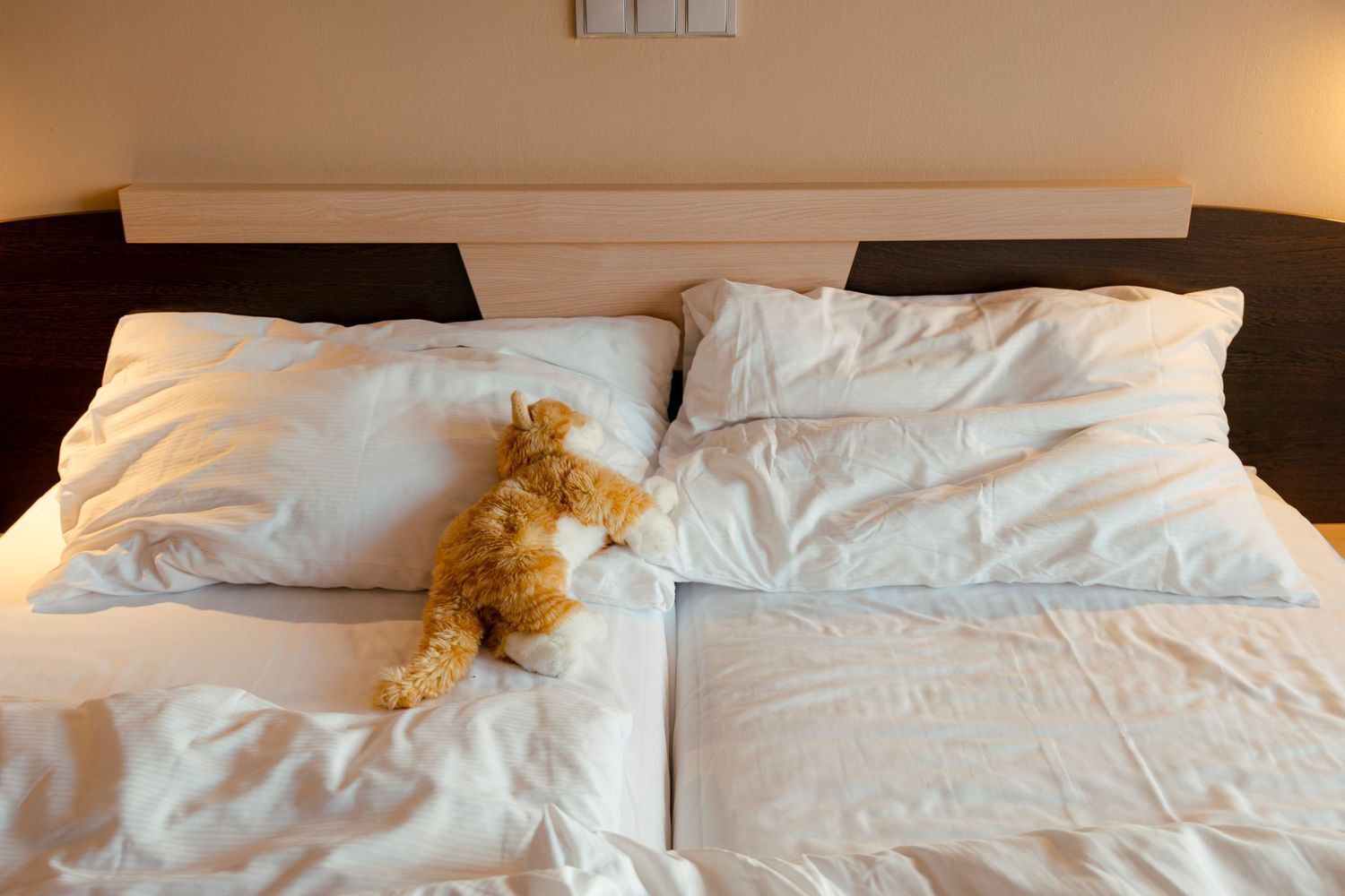 A teddy bear rests on white pillows and bedding.
