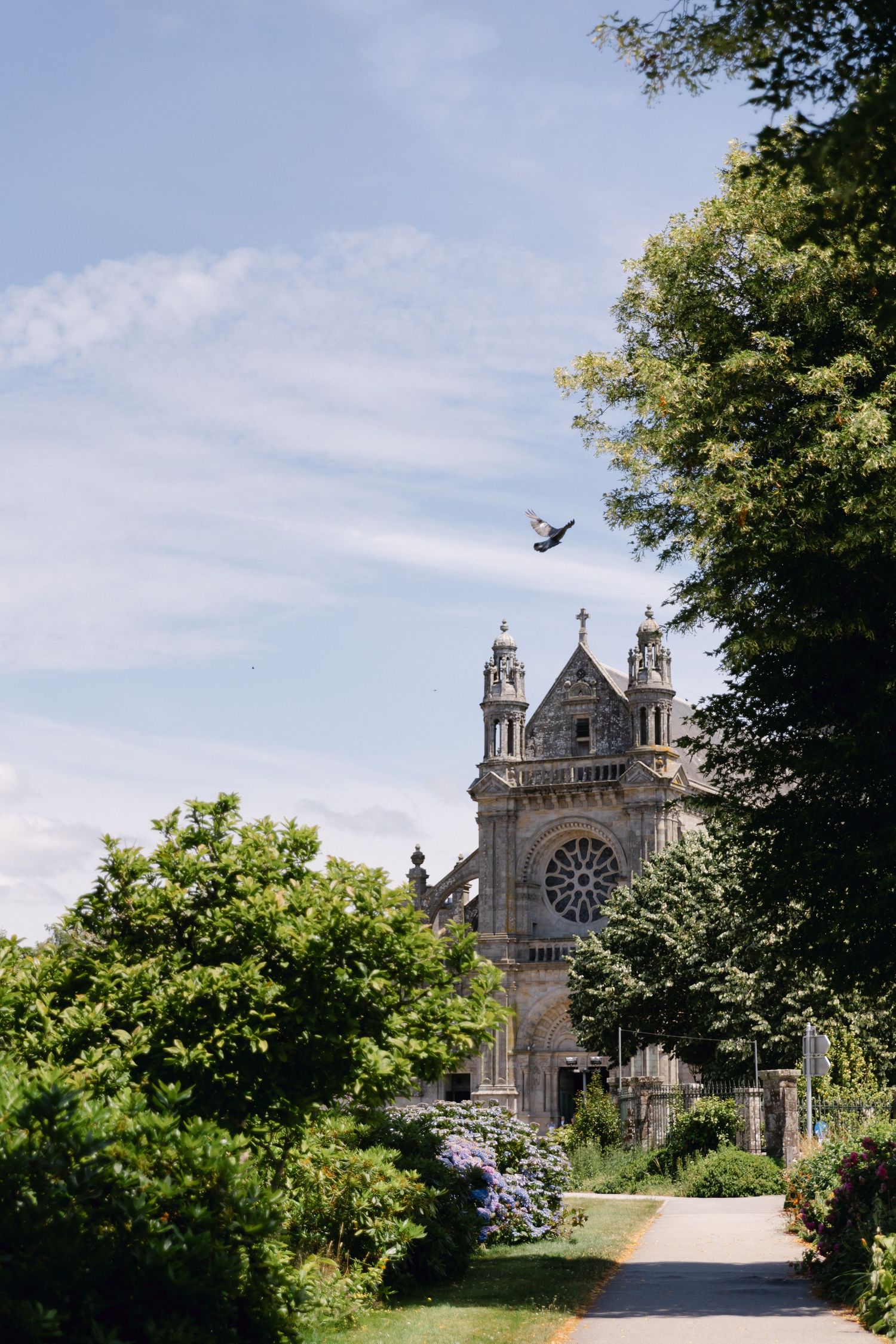 Cathédrale en pierre historique encadrée d'arbres verts luxuriants avec un oiseau en vol sous un ciel bleu.