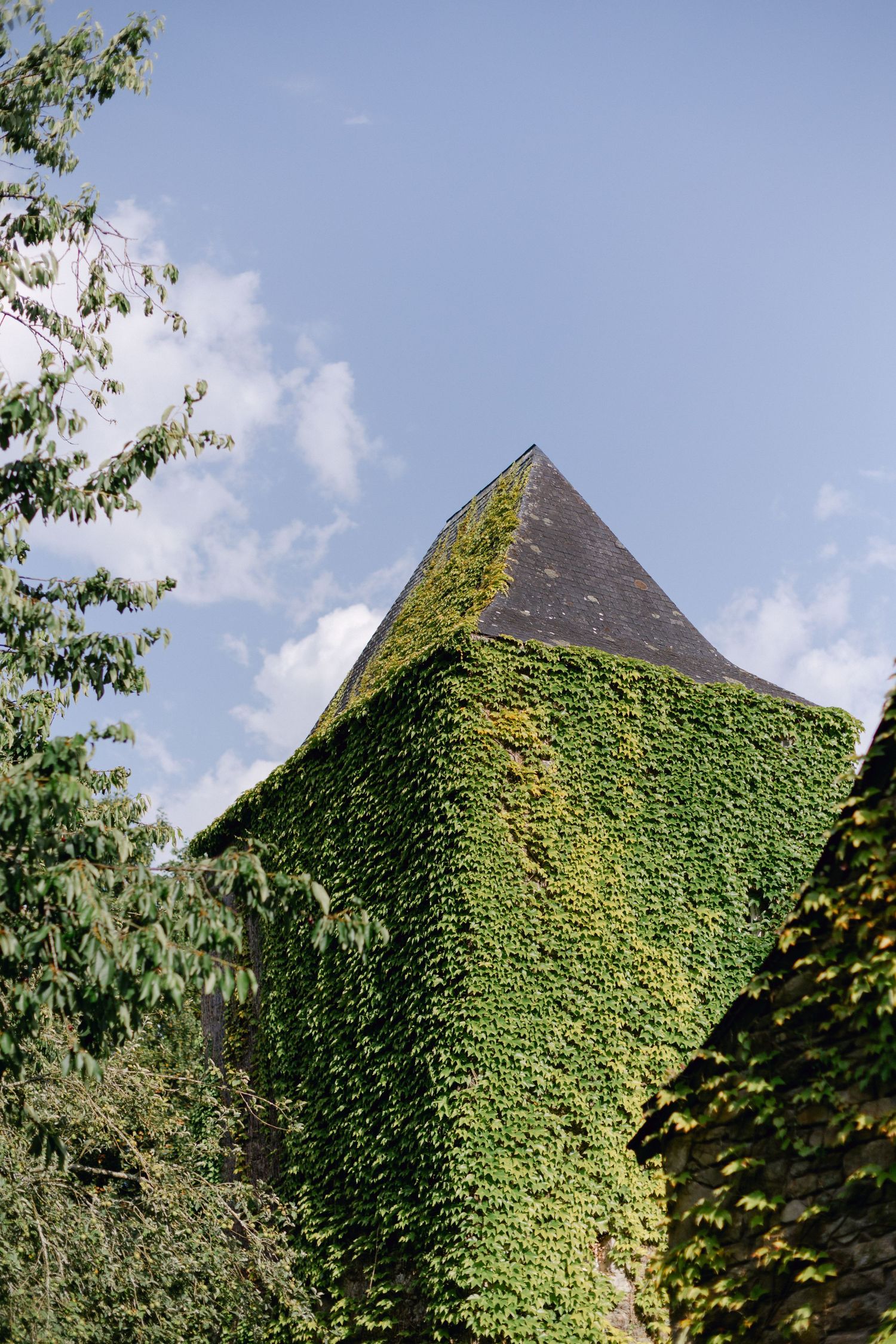 Un toit de tour en forme de pyramide recouvert de lierre vert vibrant contre un ciel bleu.