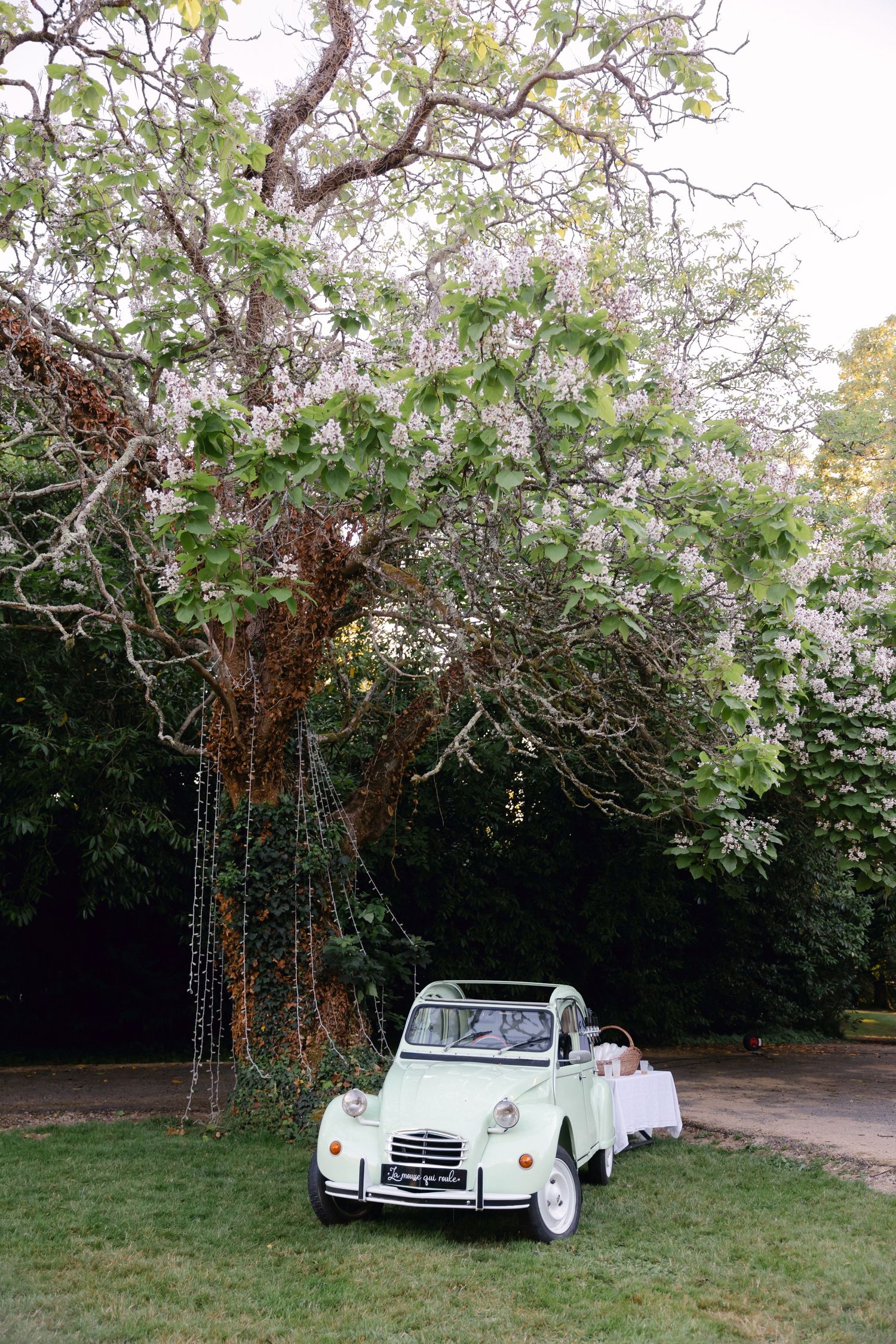 Citroën 2CV vintage vert menthe garée sous un arbre en fleurs dans un jardin luxuriant.