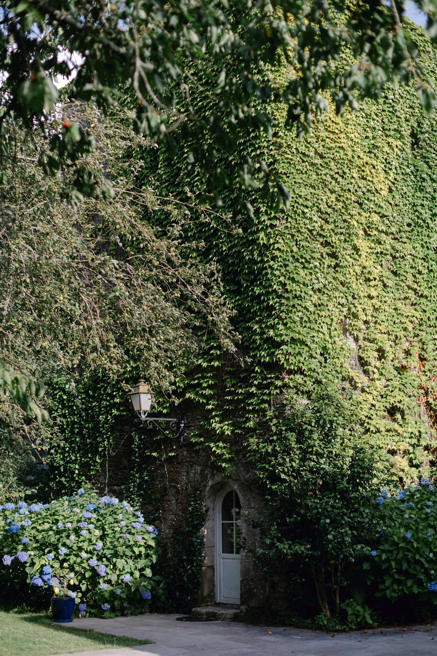 Un bâtiment en pierre recouvert de lierre vert luxuriant avec une porte blanche arquée et des hortensias.