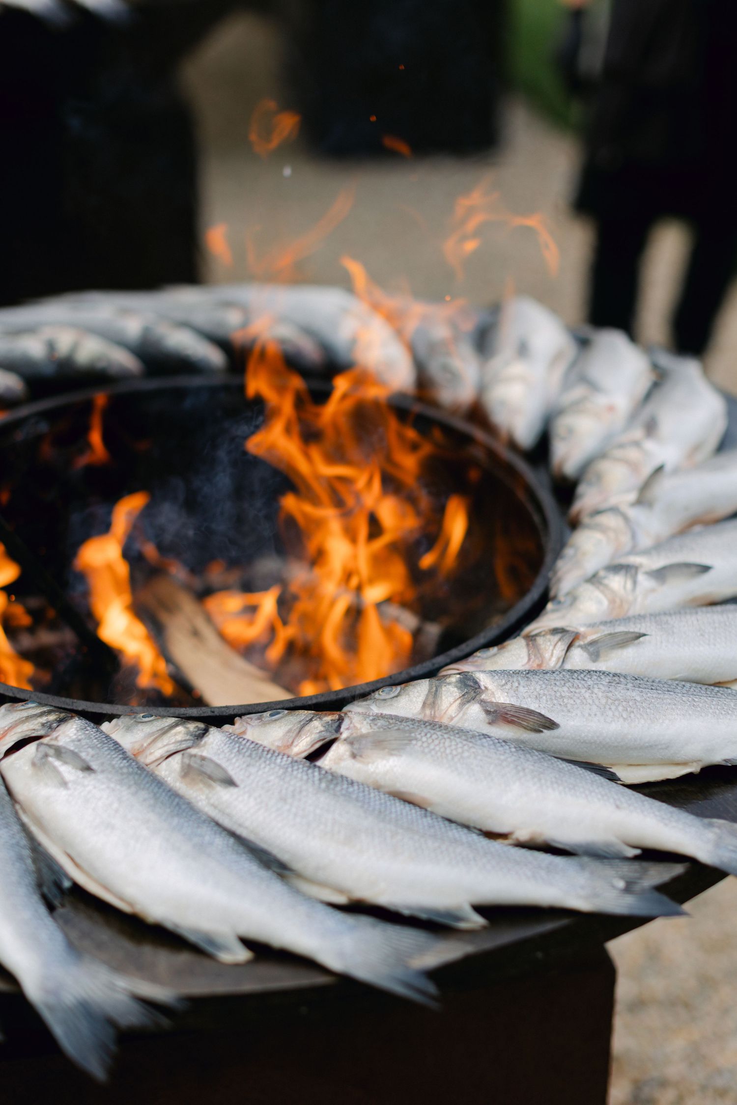 Poisson entier frais disposé en cercle autour d'un gril de foyer enflammé.