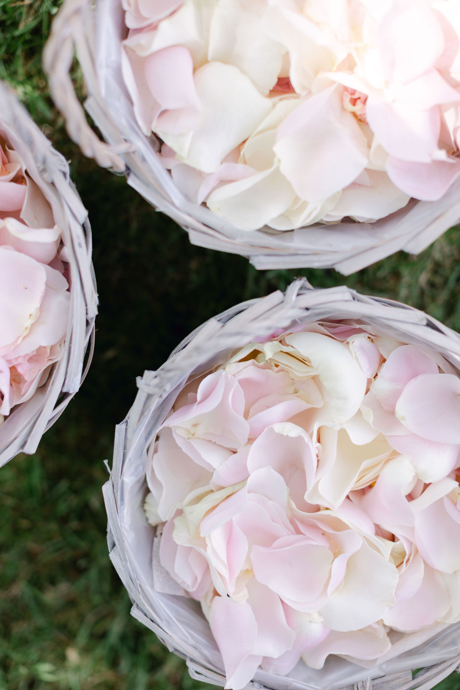 Trois paniers en osier remplis de délicats pétales de rose rose et blanche pour une cérémonie de mariage.