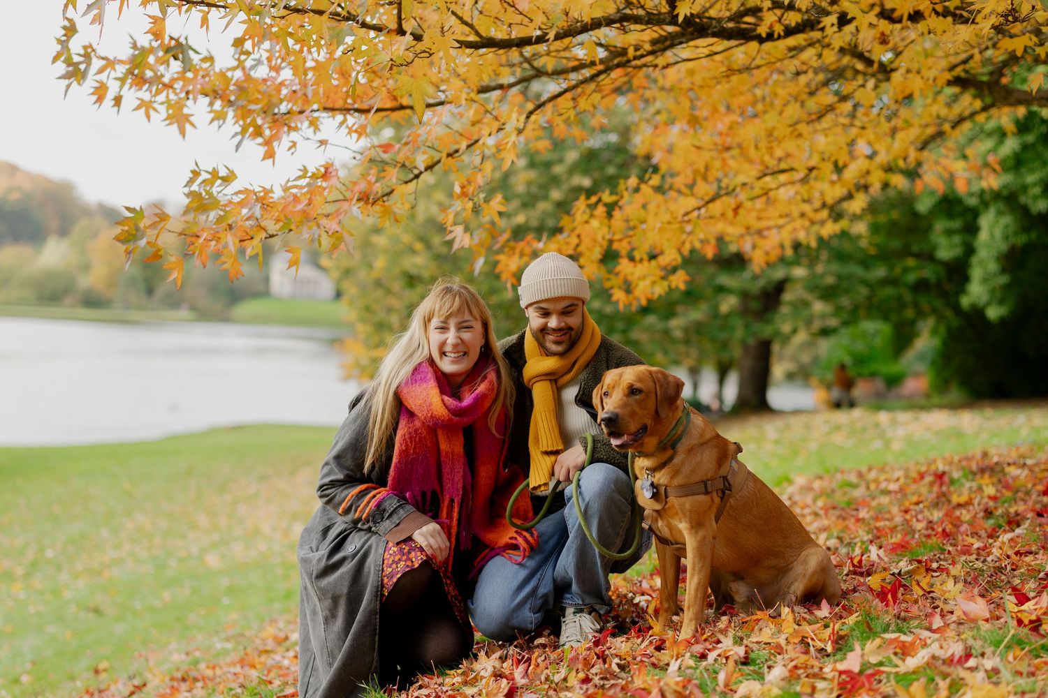 Couple smiling with golden retriever dog among autumn leaves in park with colorful fall foliage.