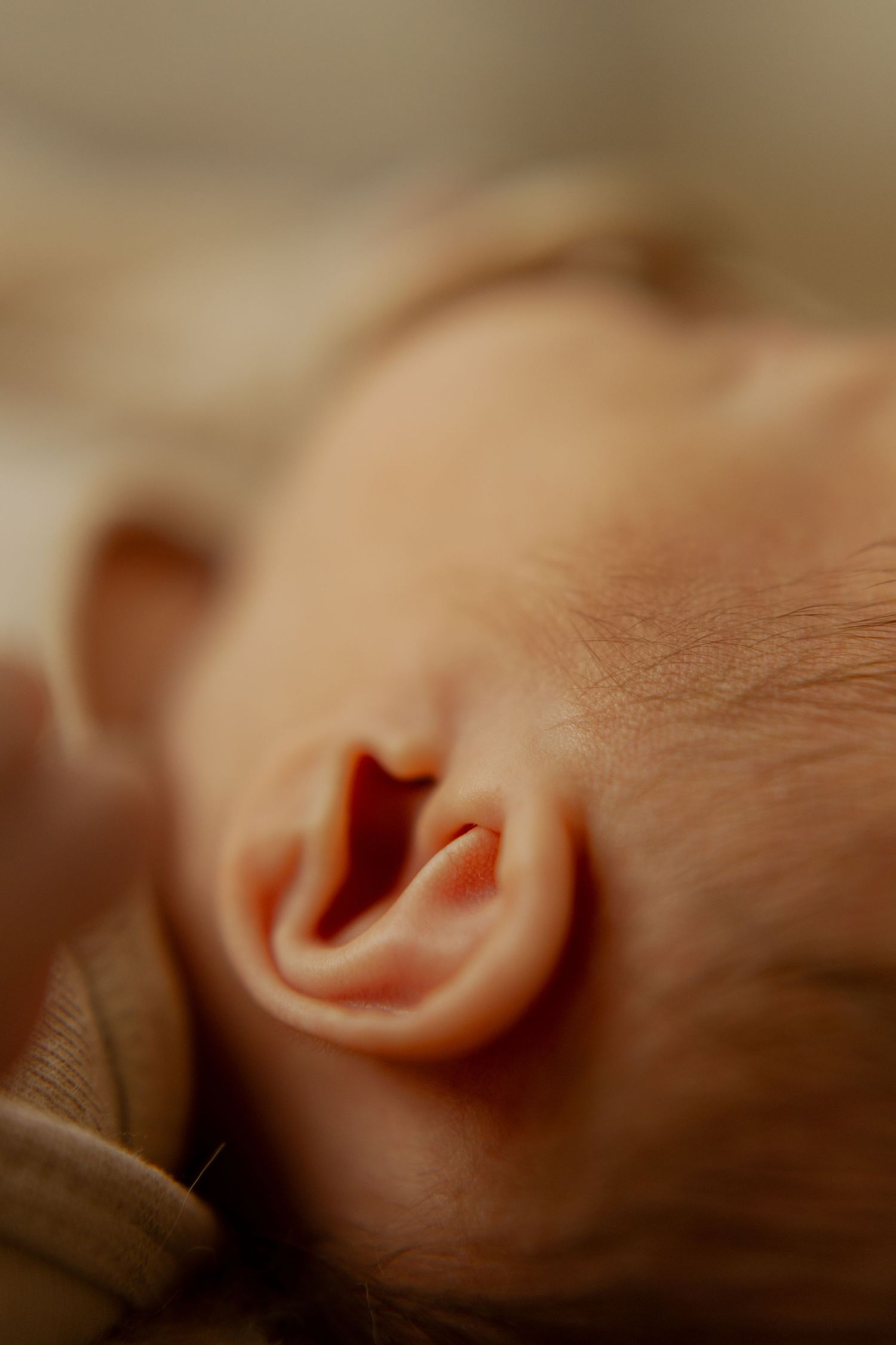 Close-up macro photo of a newborn baby's tiny ear showing delicate skin texture and anatomical details.