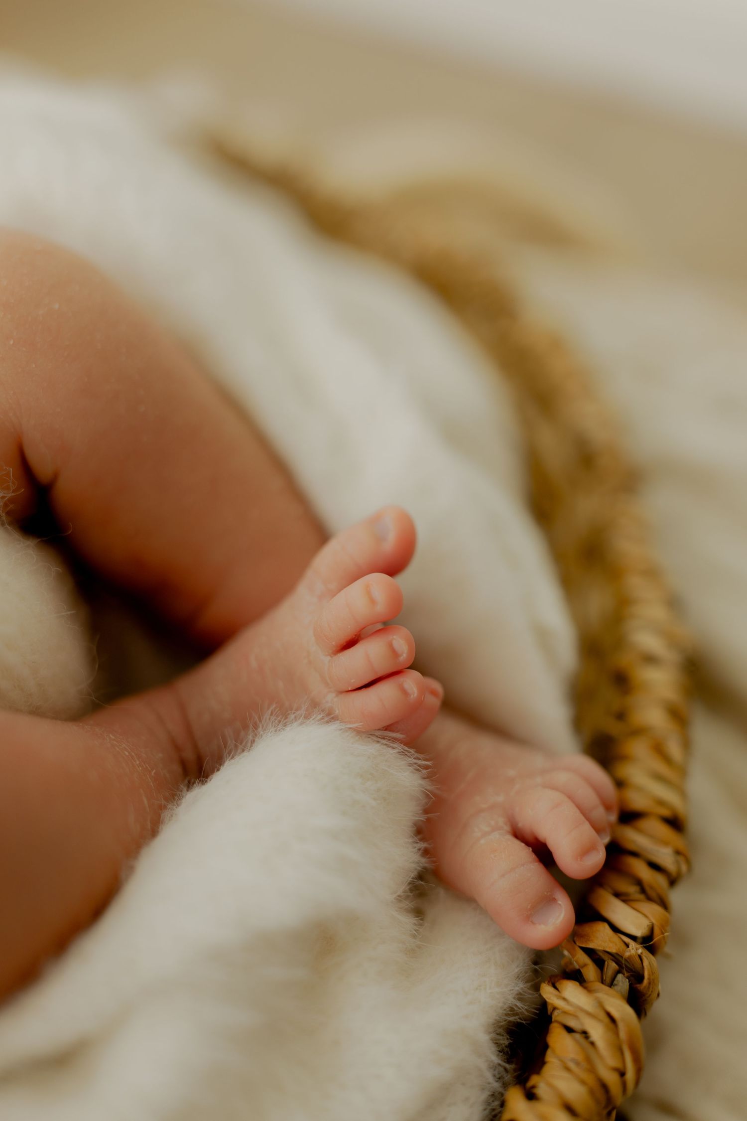 Close-up of tiny newborn baby feet resting on a soft white fur blanket inside a woven basket.
