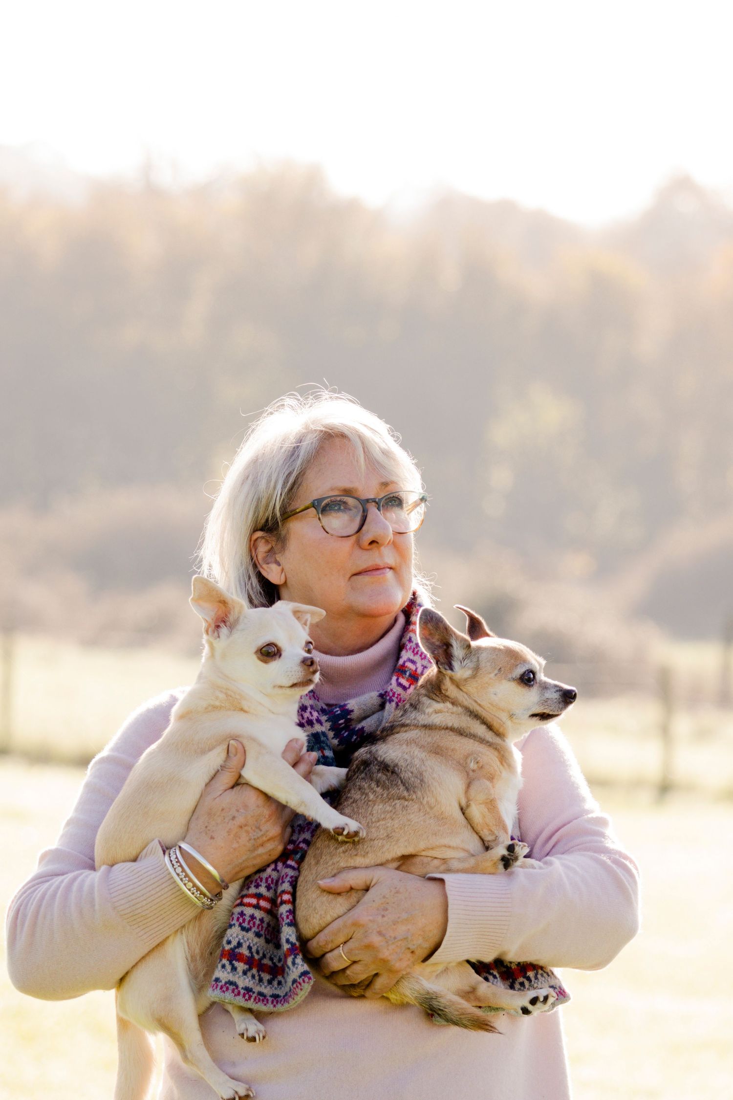 Person wearing glasses holds two small dogs while standing in a sunny field.