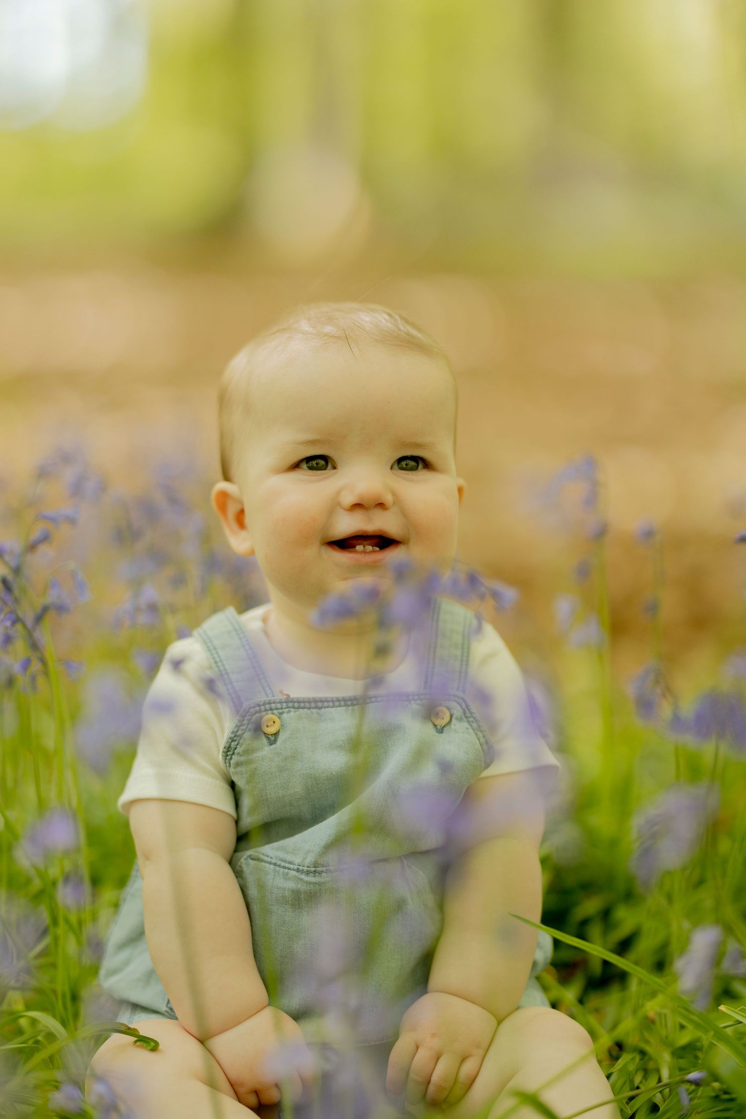 Smiling baby in overalls sits among purple wildflowers on sunny spring day.