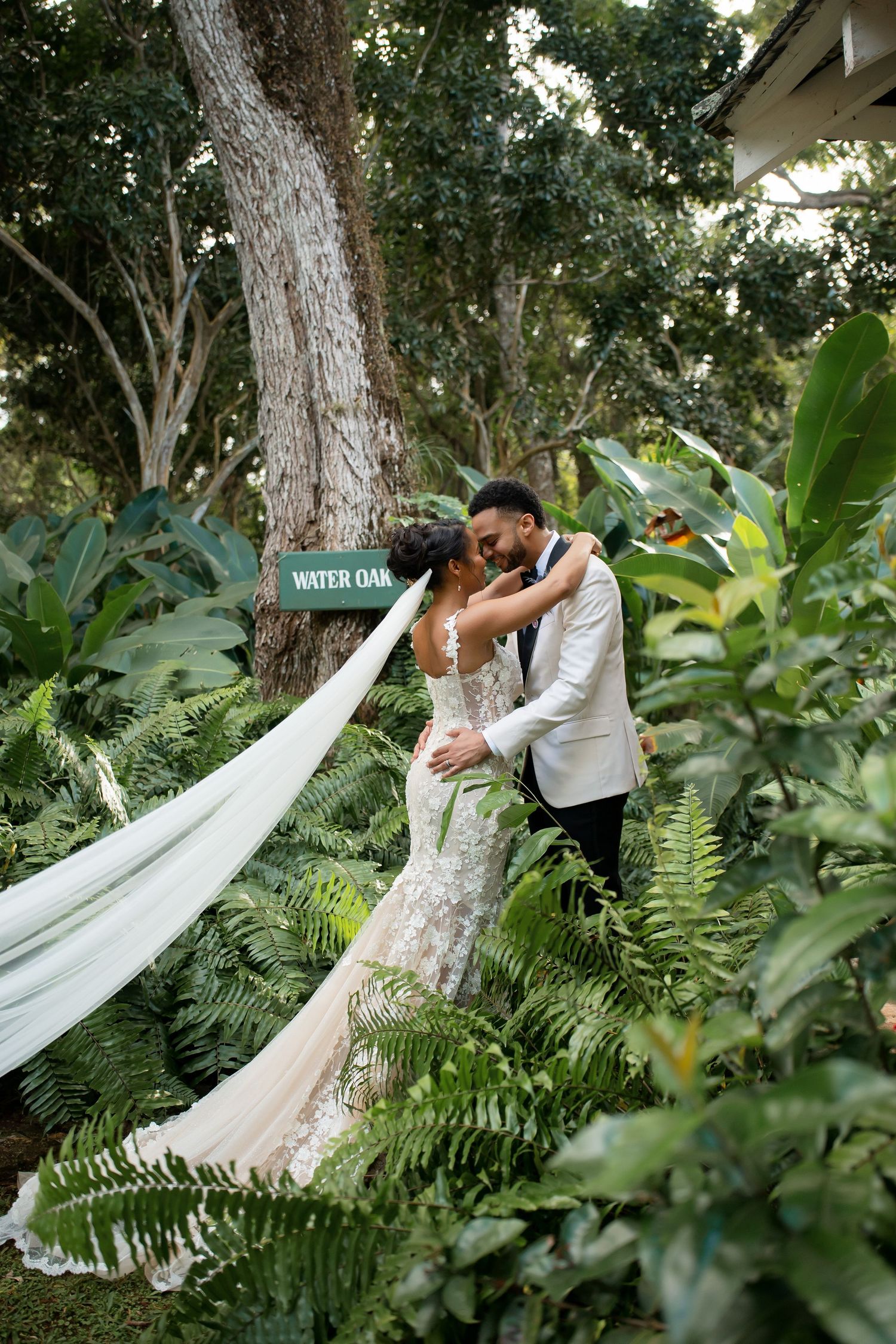 Romantic wedding couple embraces amid lush tropical garden with flowing white veil and ferns in foreground.