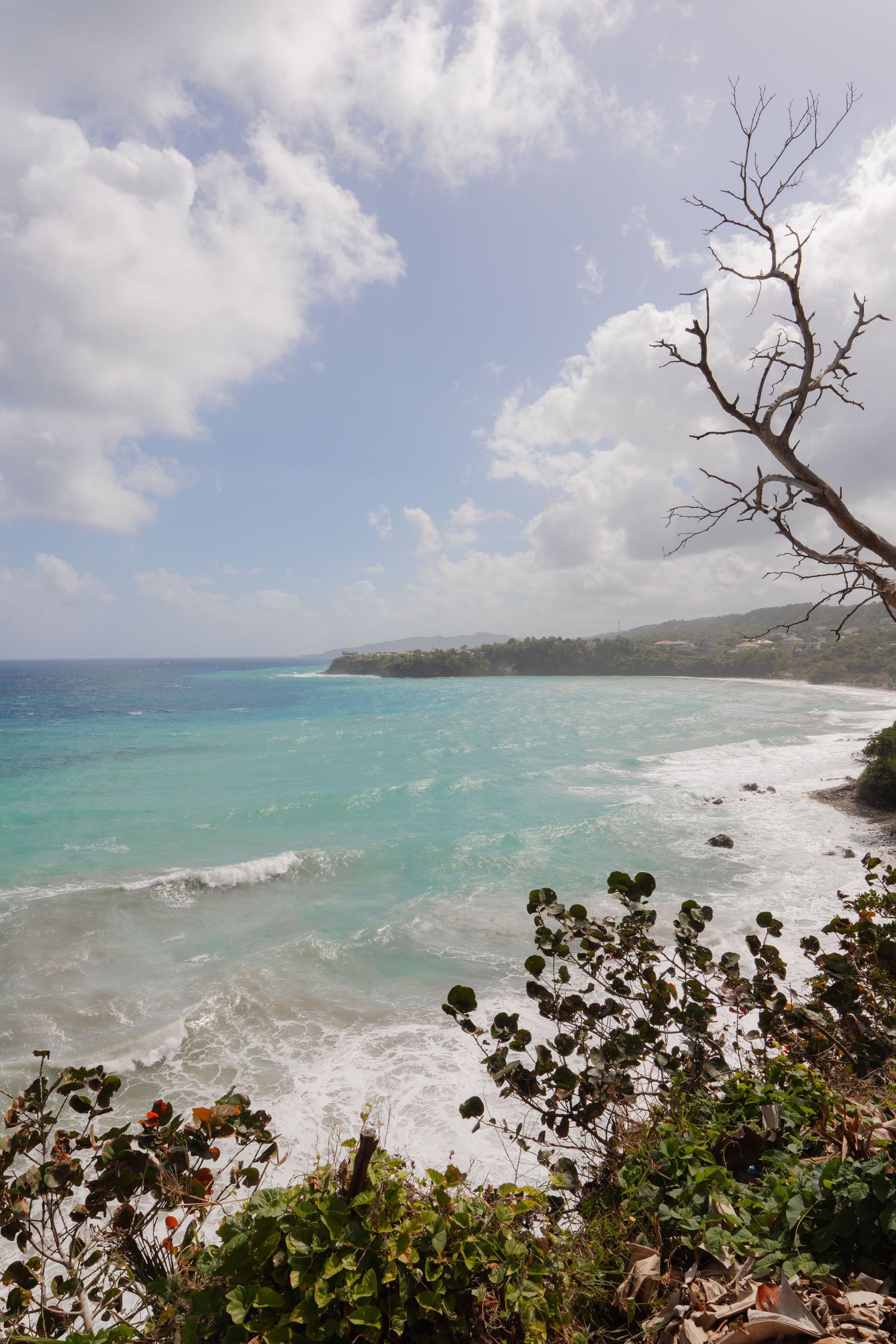 Panoramic coastal scene showing turquoise waves crashing against rocky shore with dramatic cloudy sky and barren trees.