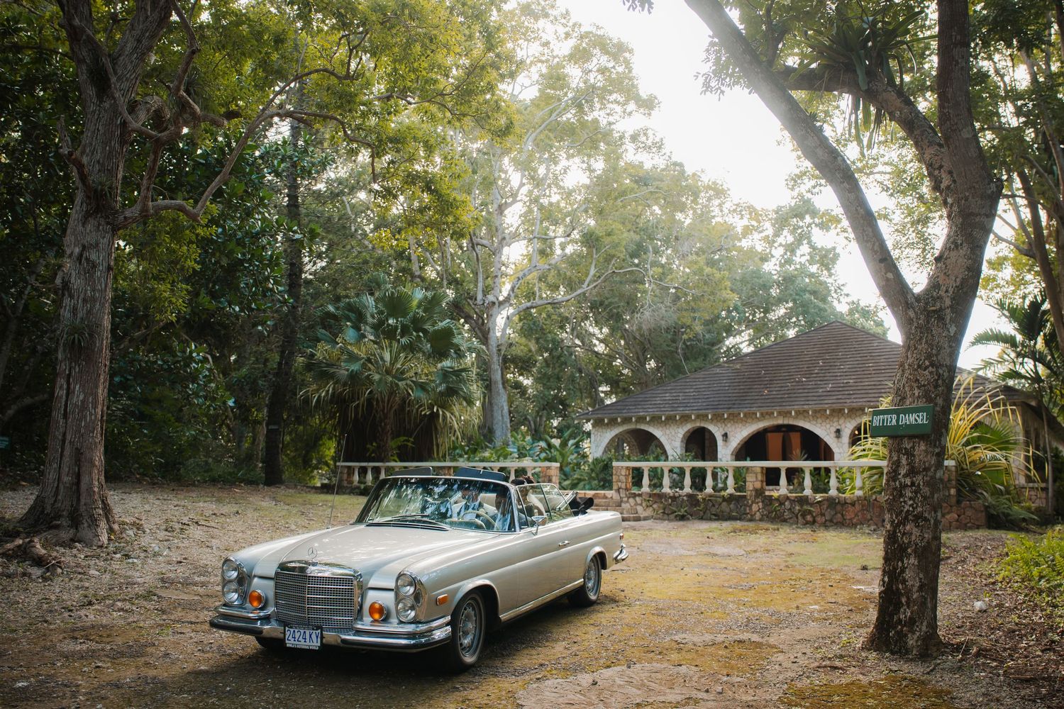 A sequence of vintage cars parked in front of rustic cabins surrounded by tall trees in a tranquil forest setting.
