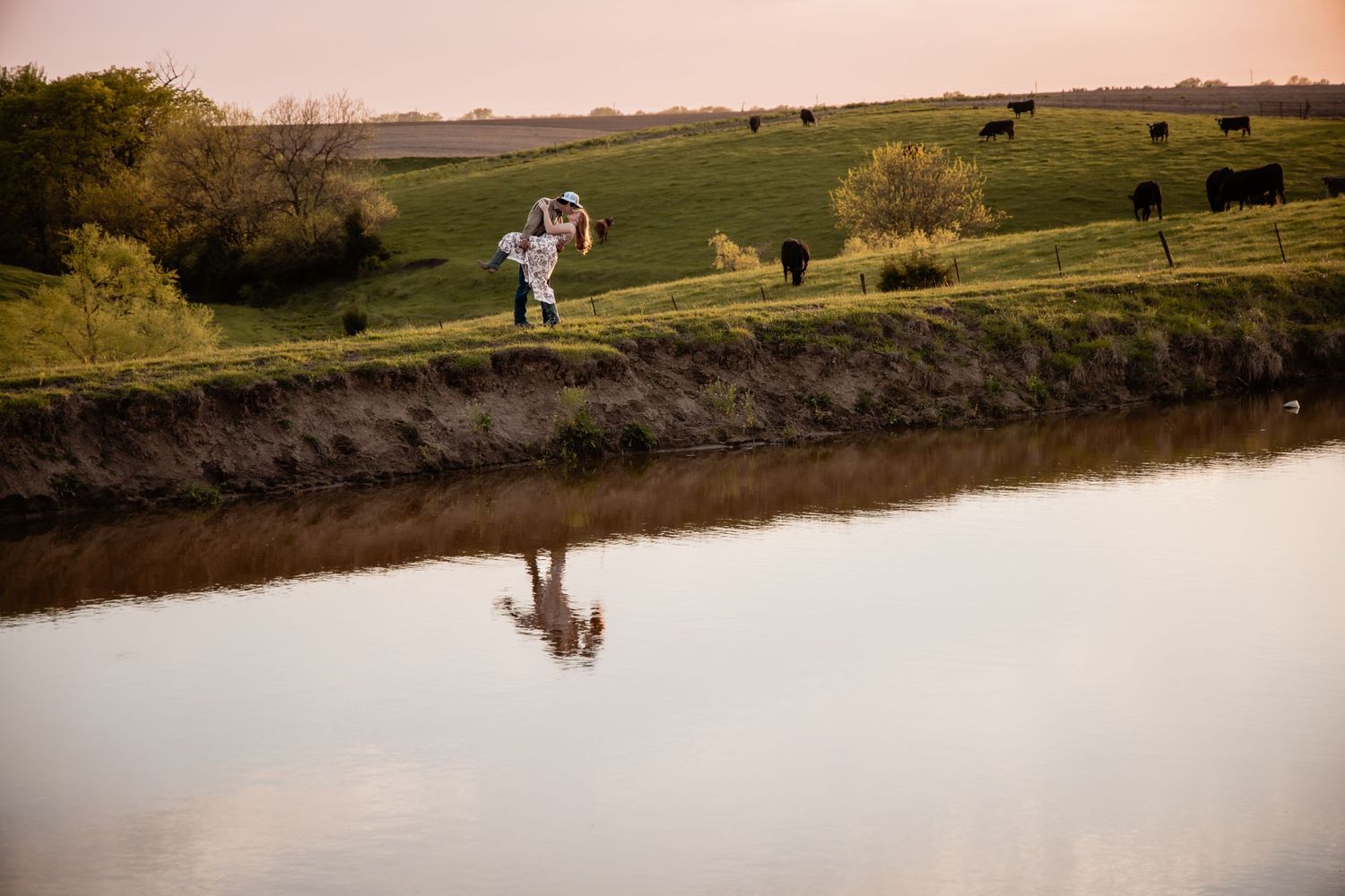 Couple embracing on a grassy riverbank with cattle grazing in background at sunset.